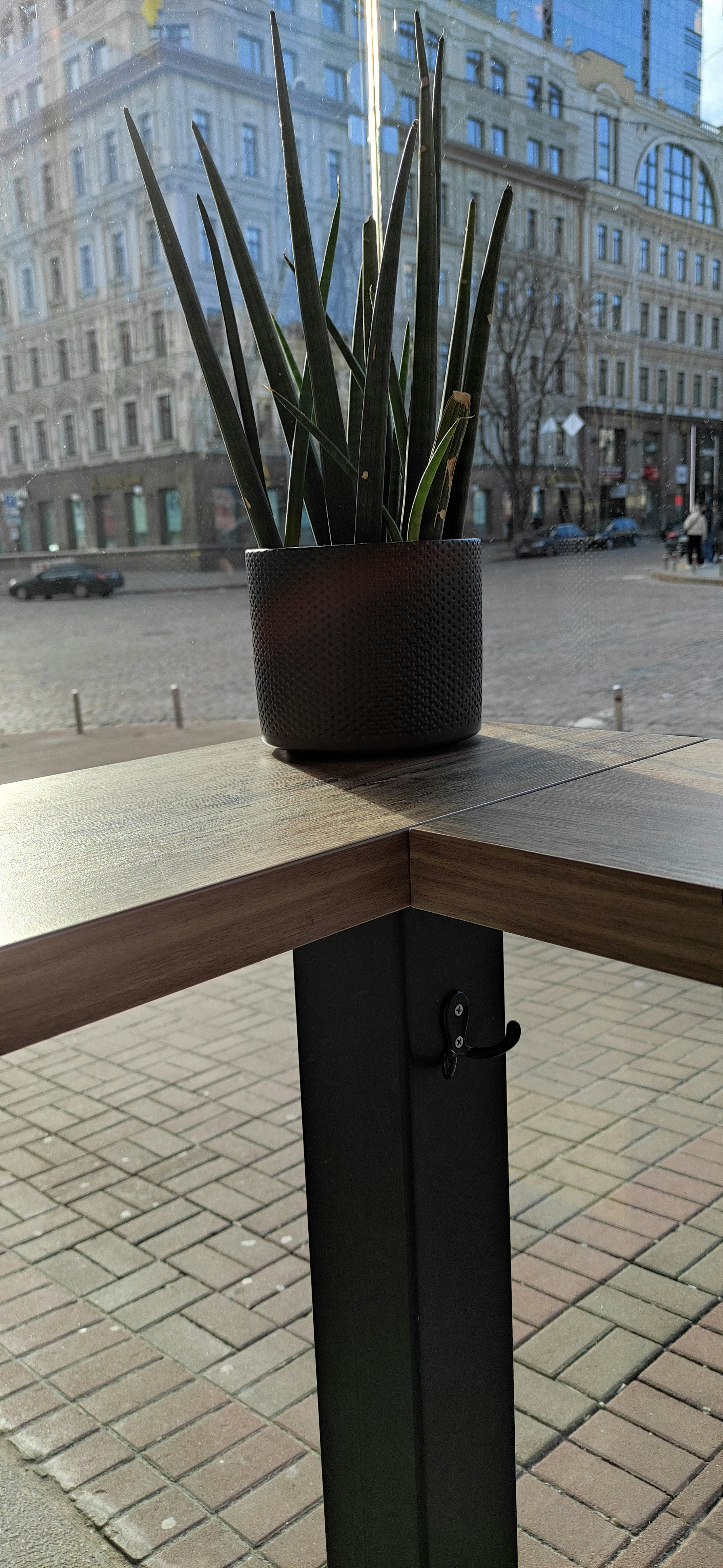 una planta en maceta sentada encima de una mesa de madera