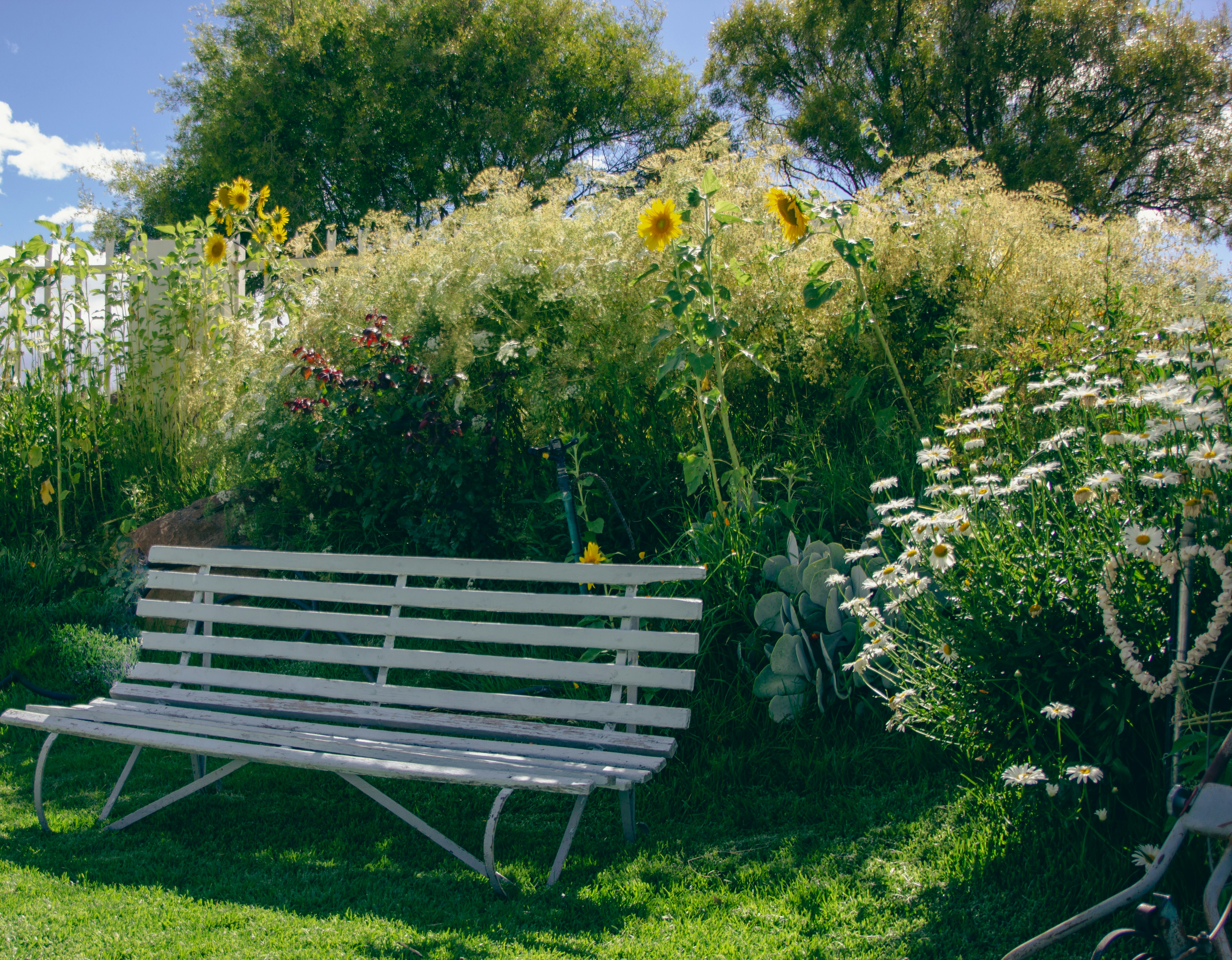 a wooden bench sitting in the middle of a garden