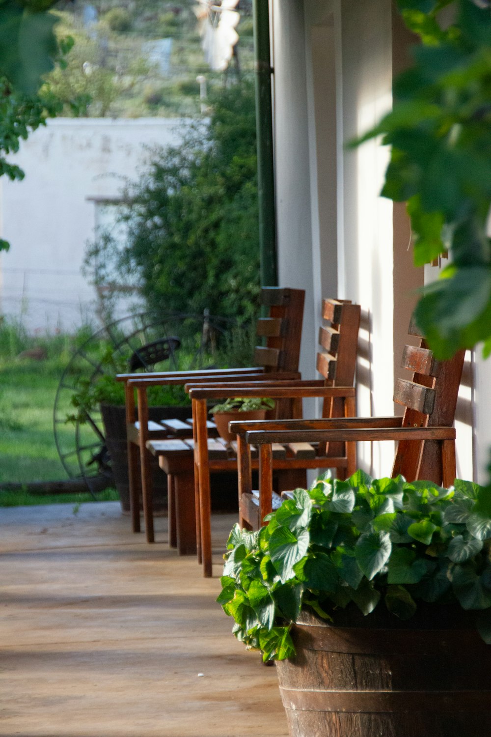 a porch with chairs and a potted plant