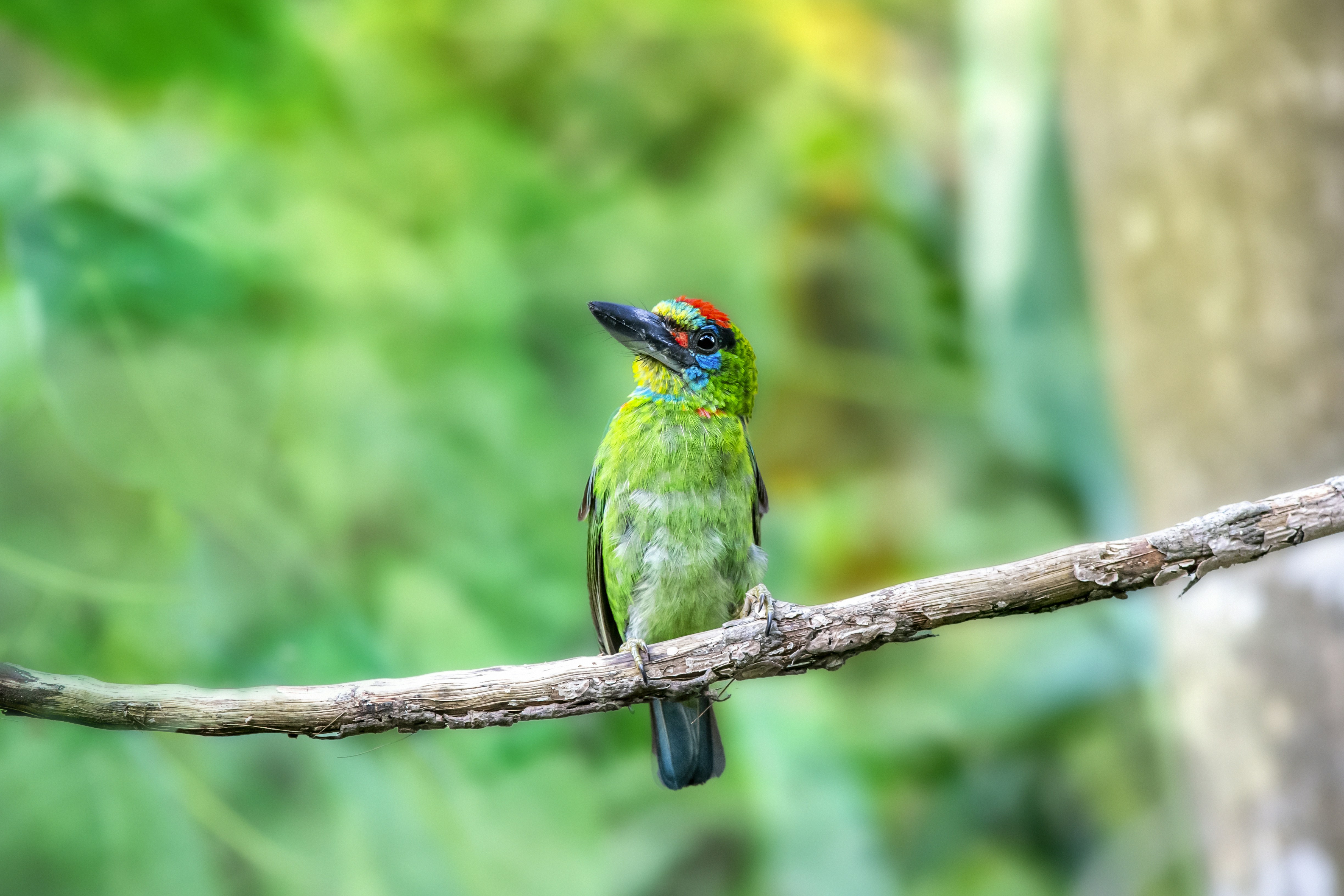 Photo by erik_karits