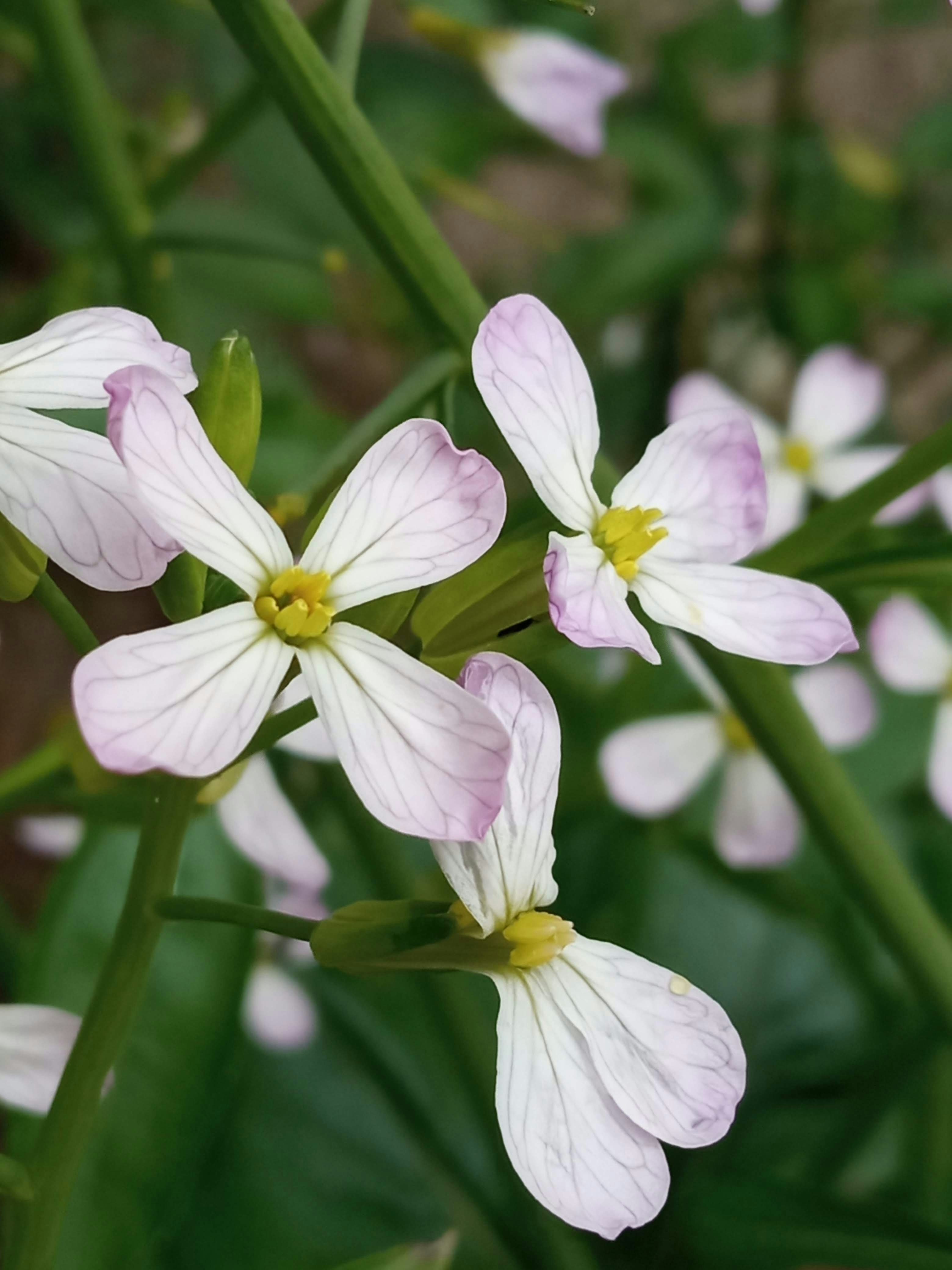 Photo by littledoc420