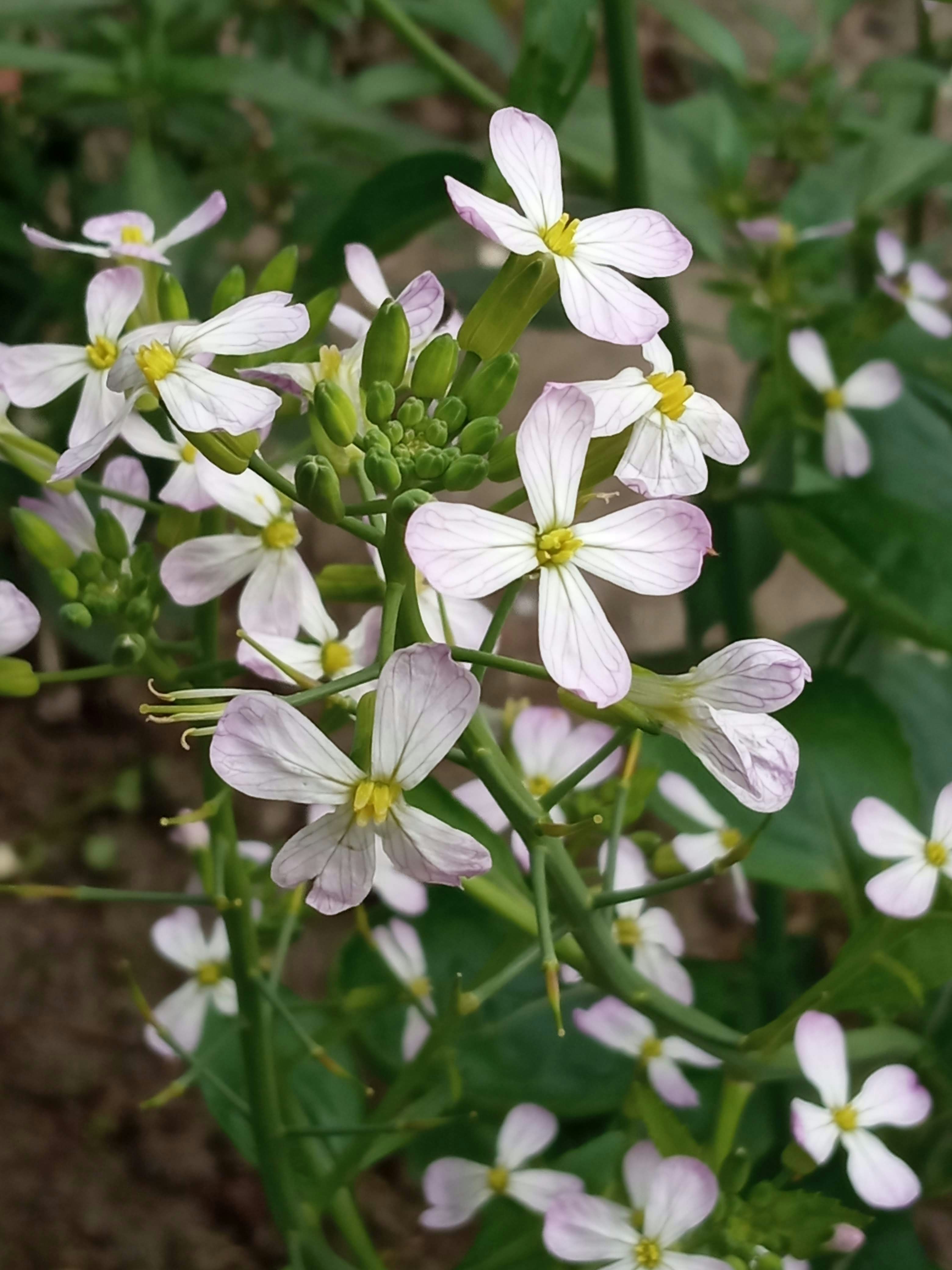 Photo by littledoc420