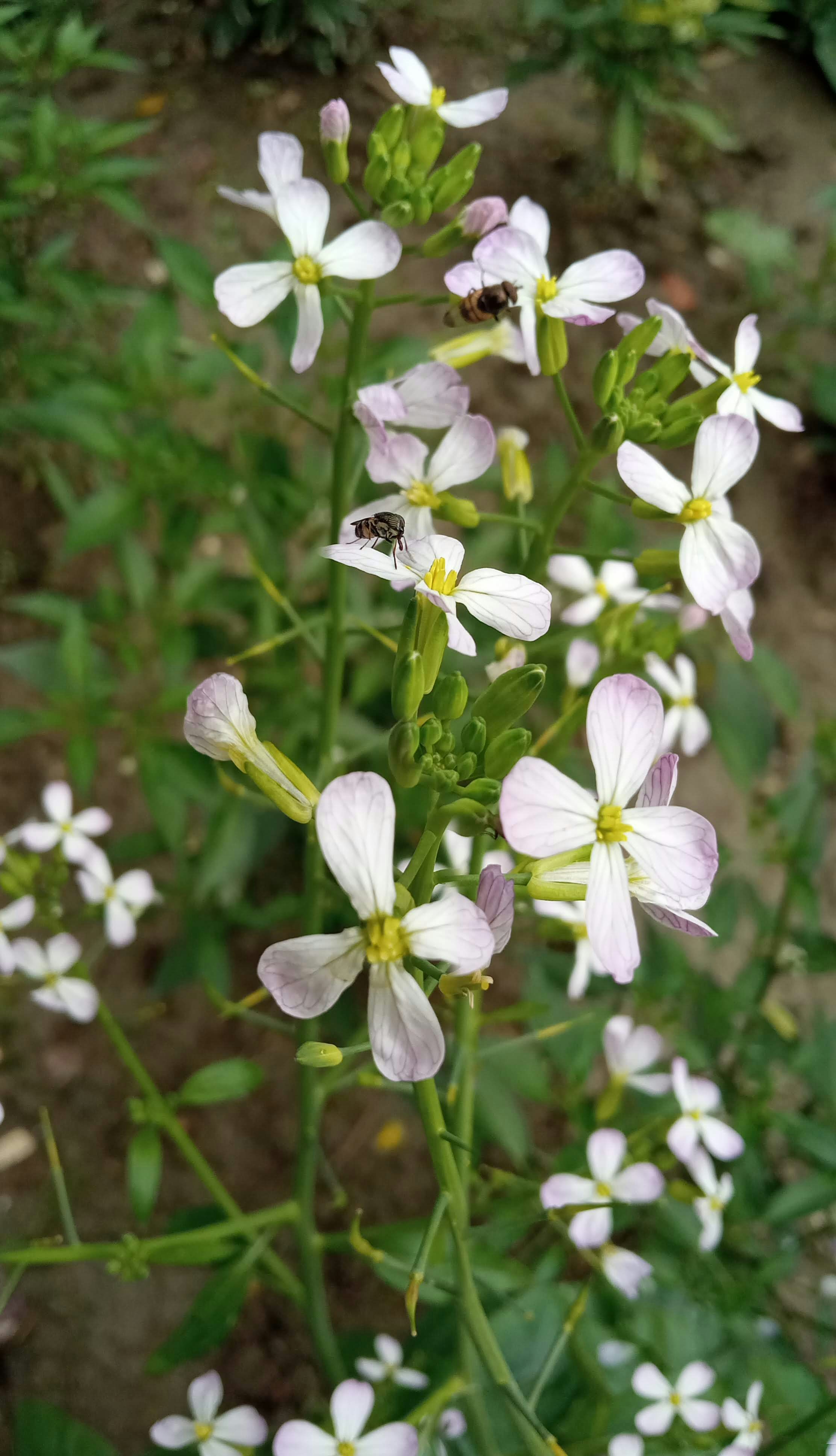 Photo by littledoc420