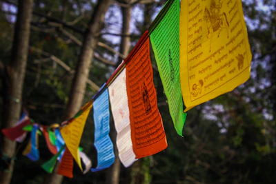 a row of colorful flags hanging from a tree