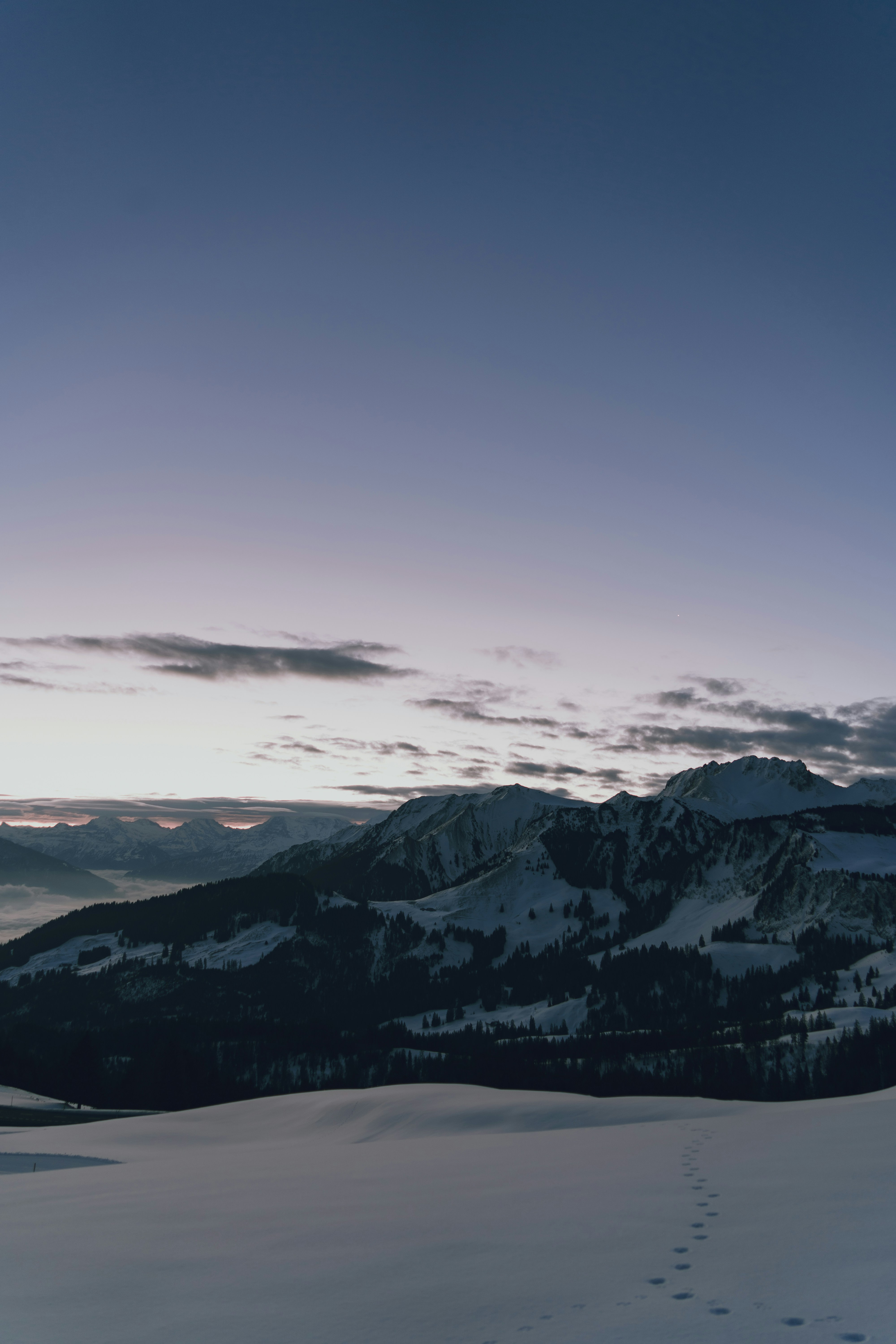 Photo by benaja_photos