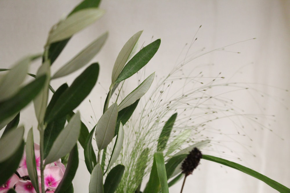 a close up of a vase with flowers in it