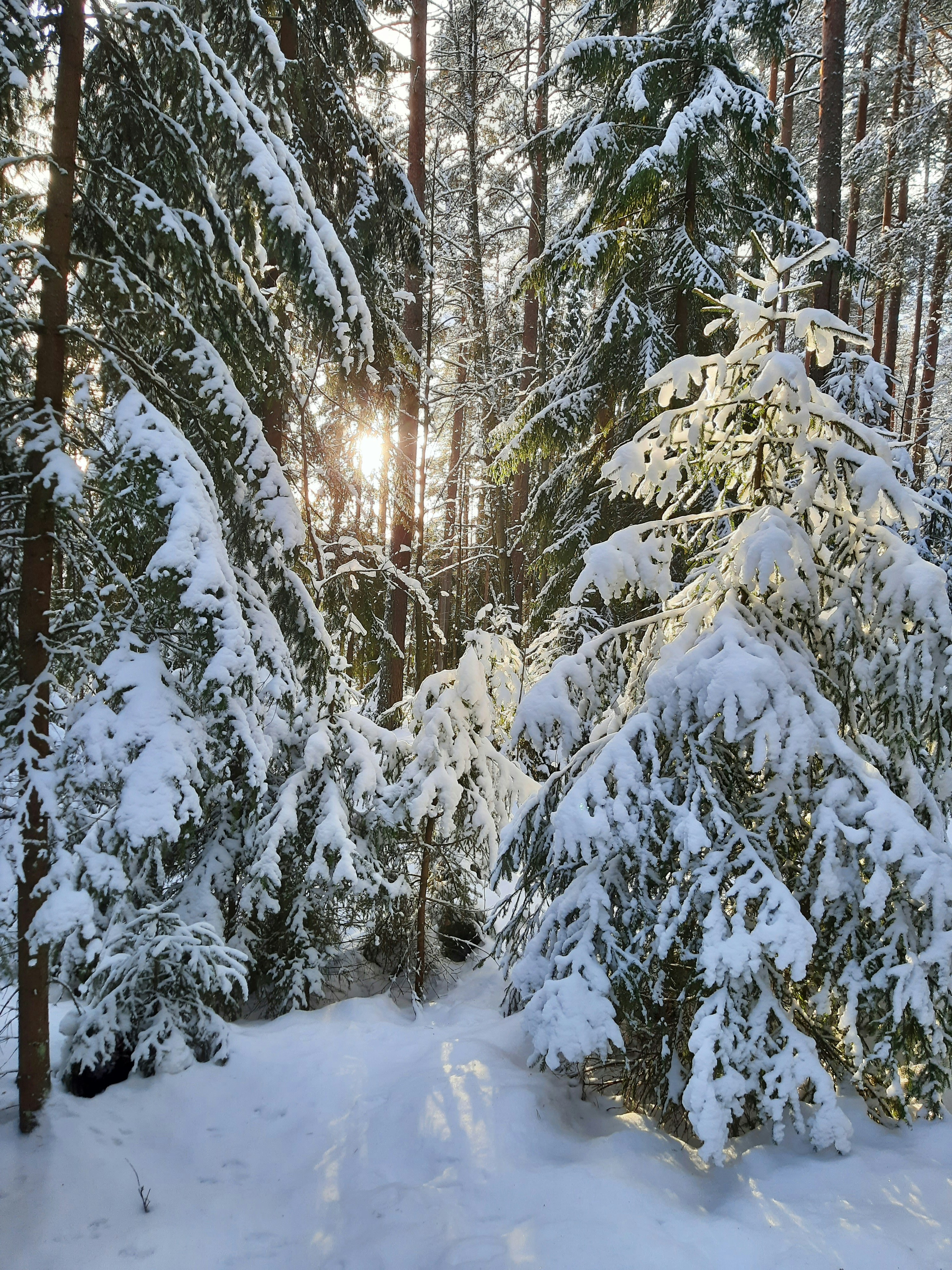 Photo by northernpagan