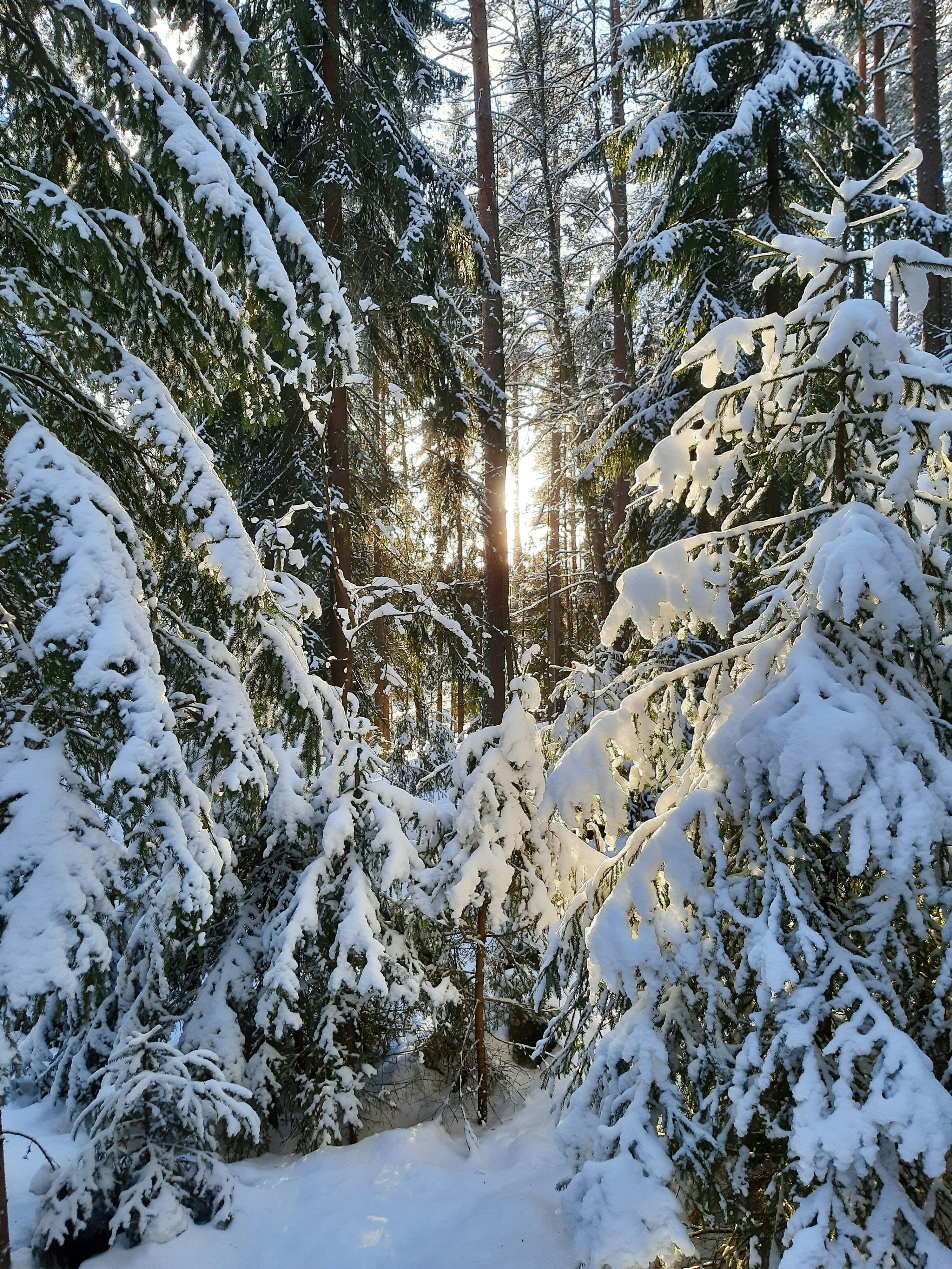 Photo by northernpagan