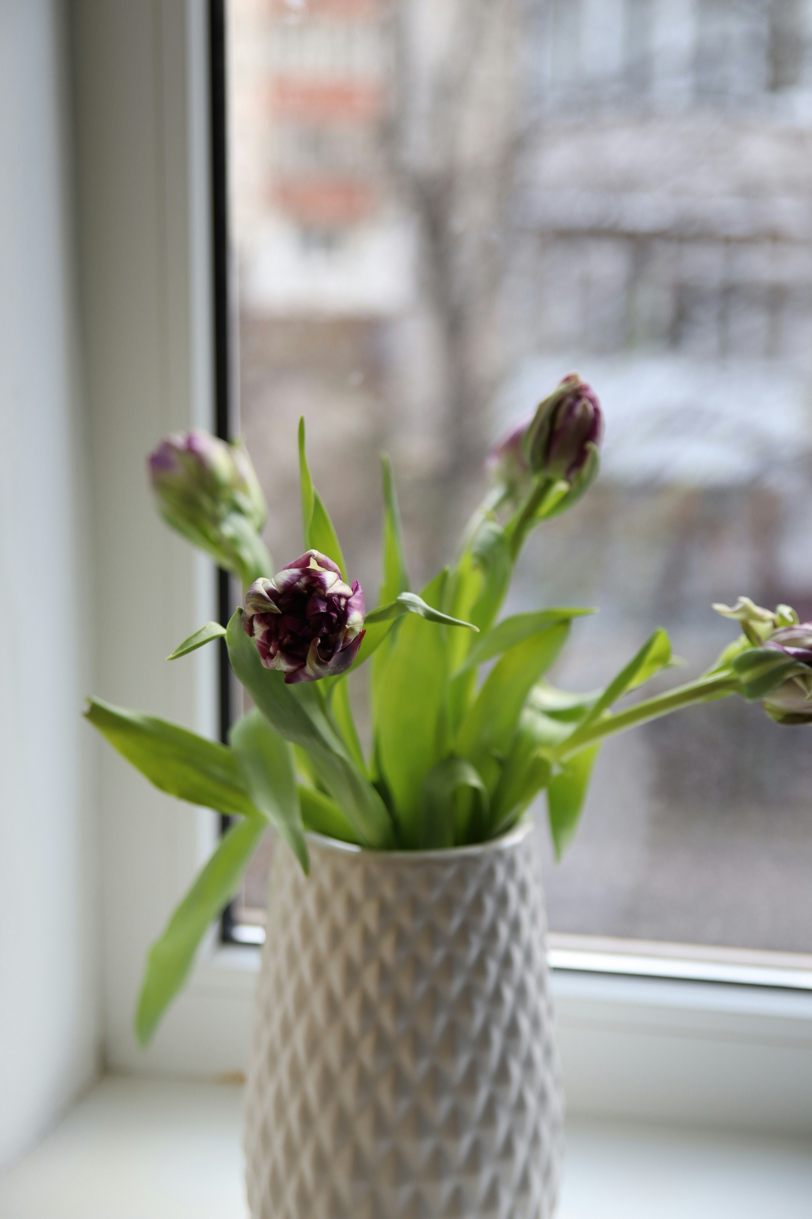 Photo by feeling_hope