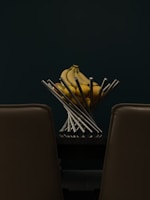 a bunch of bananas sitting on top of a table