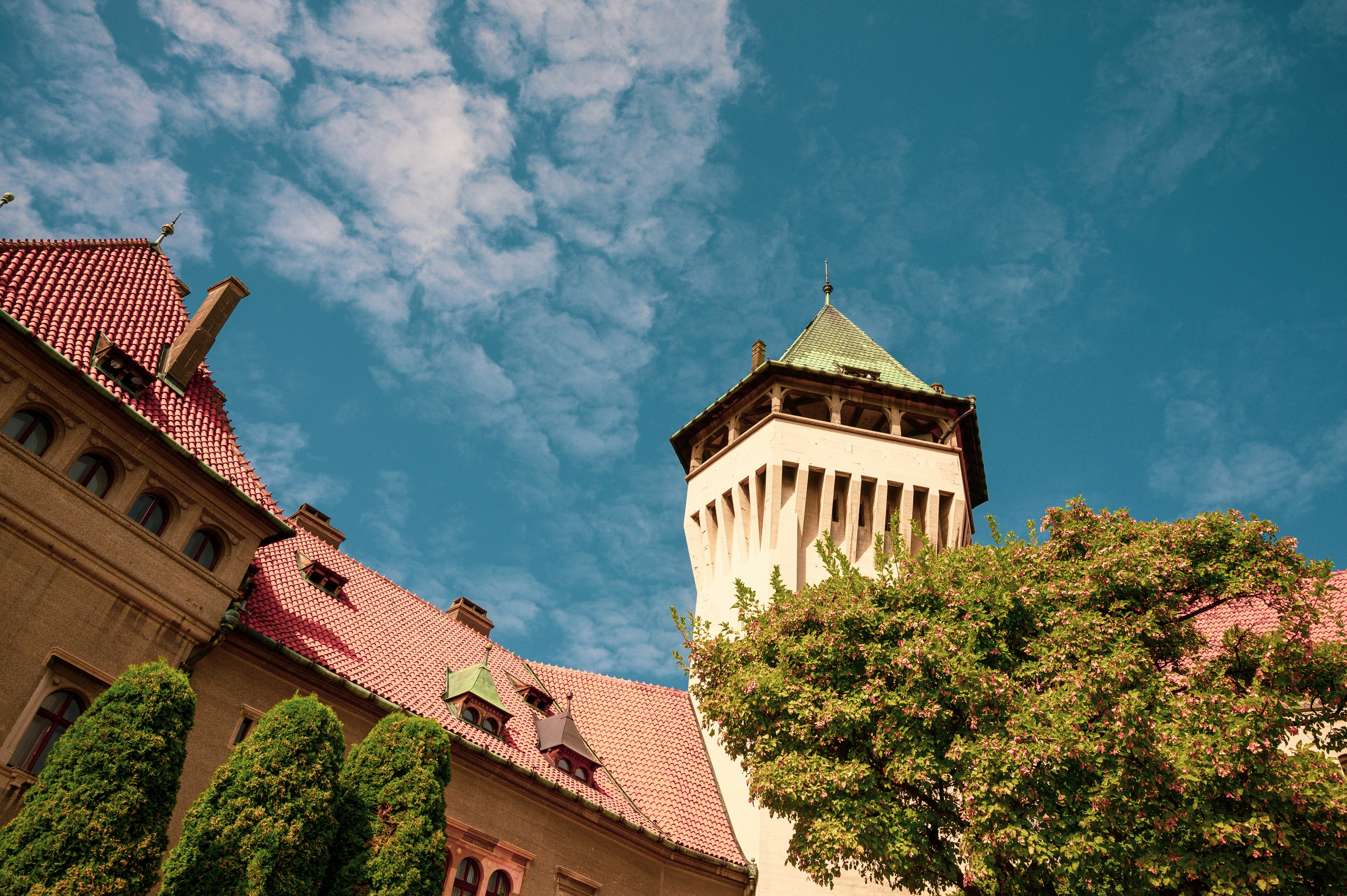 Photo by lacostercell