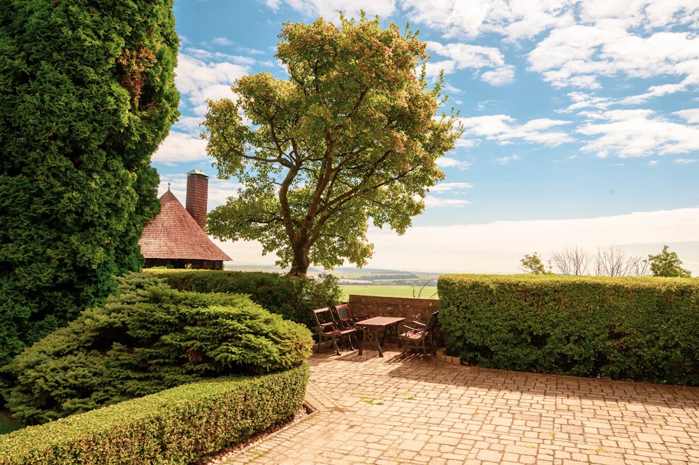 a brick patio with a table and chairs under a tree