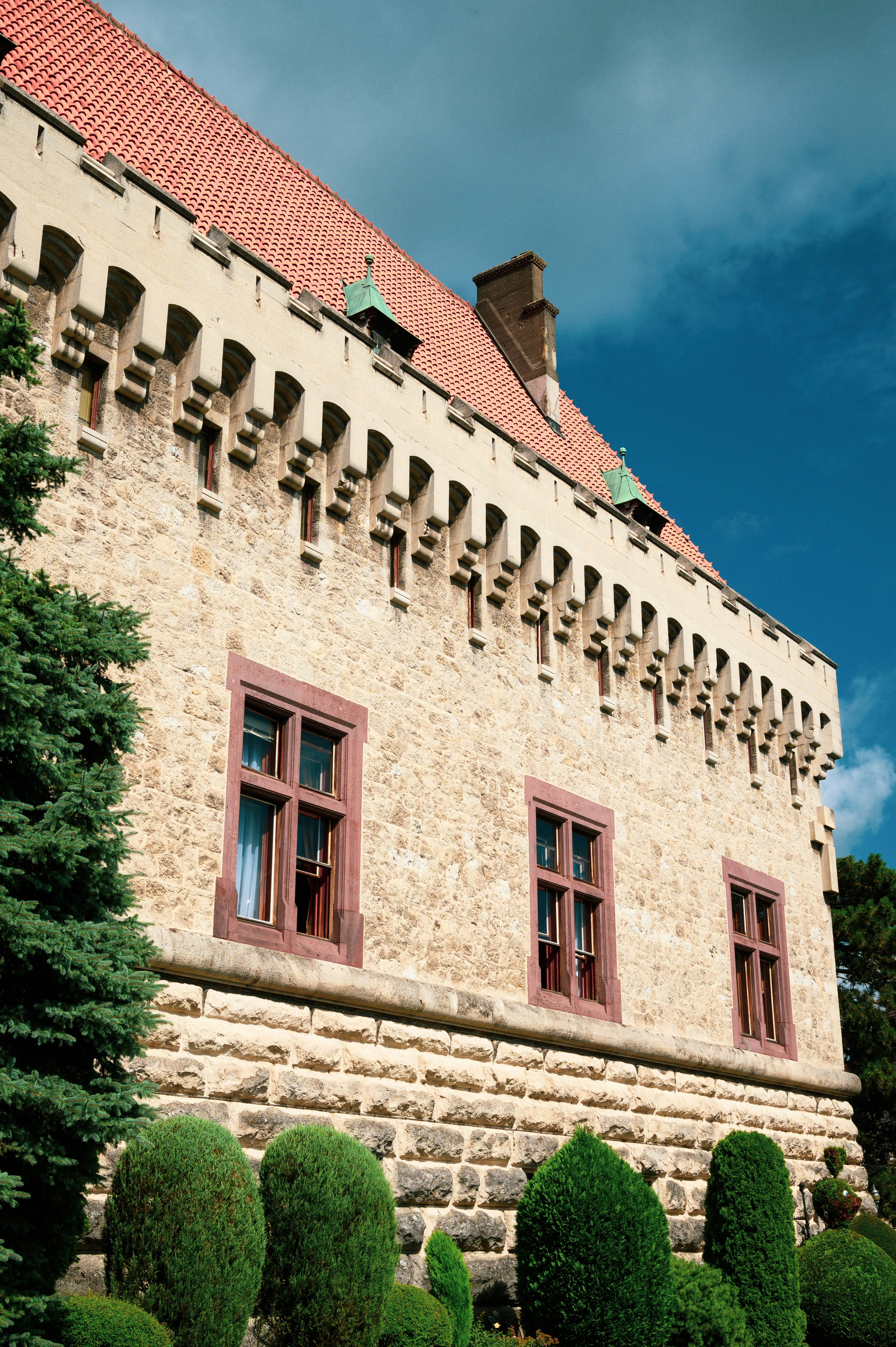 Photo by lacostercell