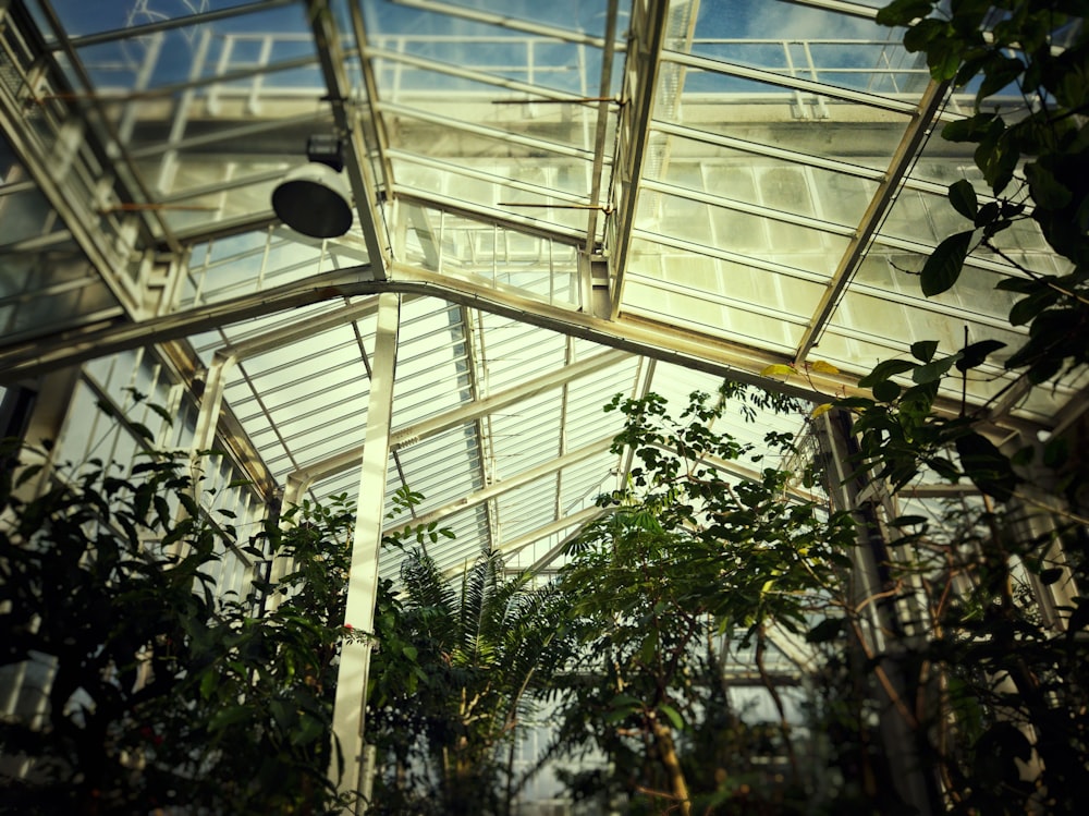 the inside of a building with a glass roof