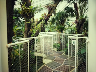 A walkway enclosed by a mesh railing winds through a lush indoor forest with tall trees and various tropical plants. The pathway is elevated, allowing a close view of the dense foliage and vibrant greenery reaching towards the glass ceiling above.
