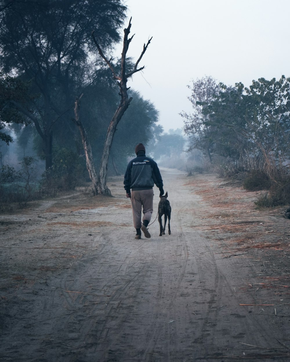 a man walking a dog down a dirt road