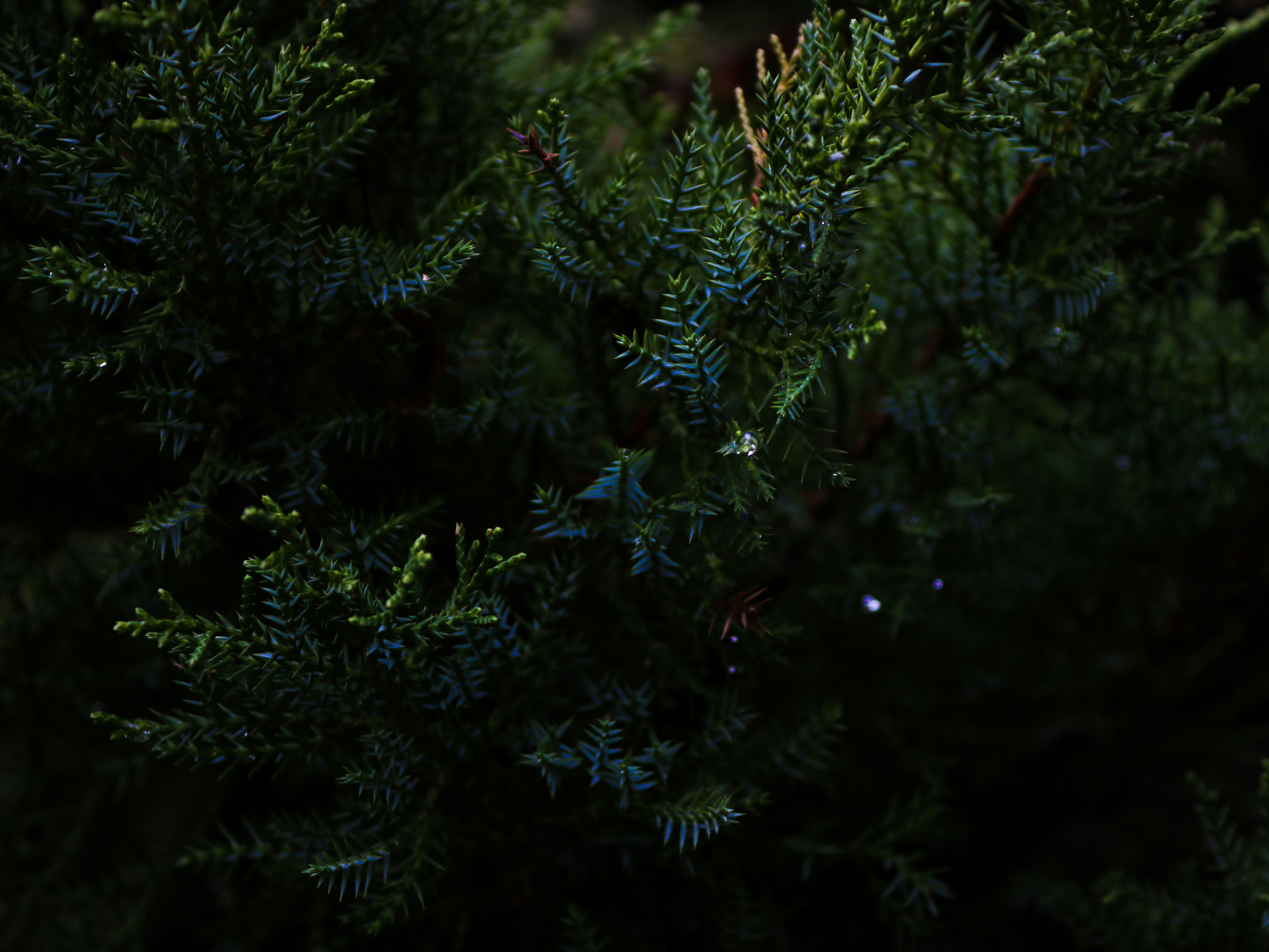 Photo by thee_photography_