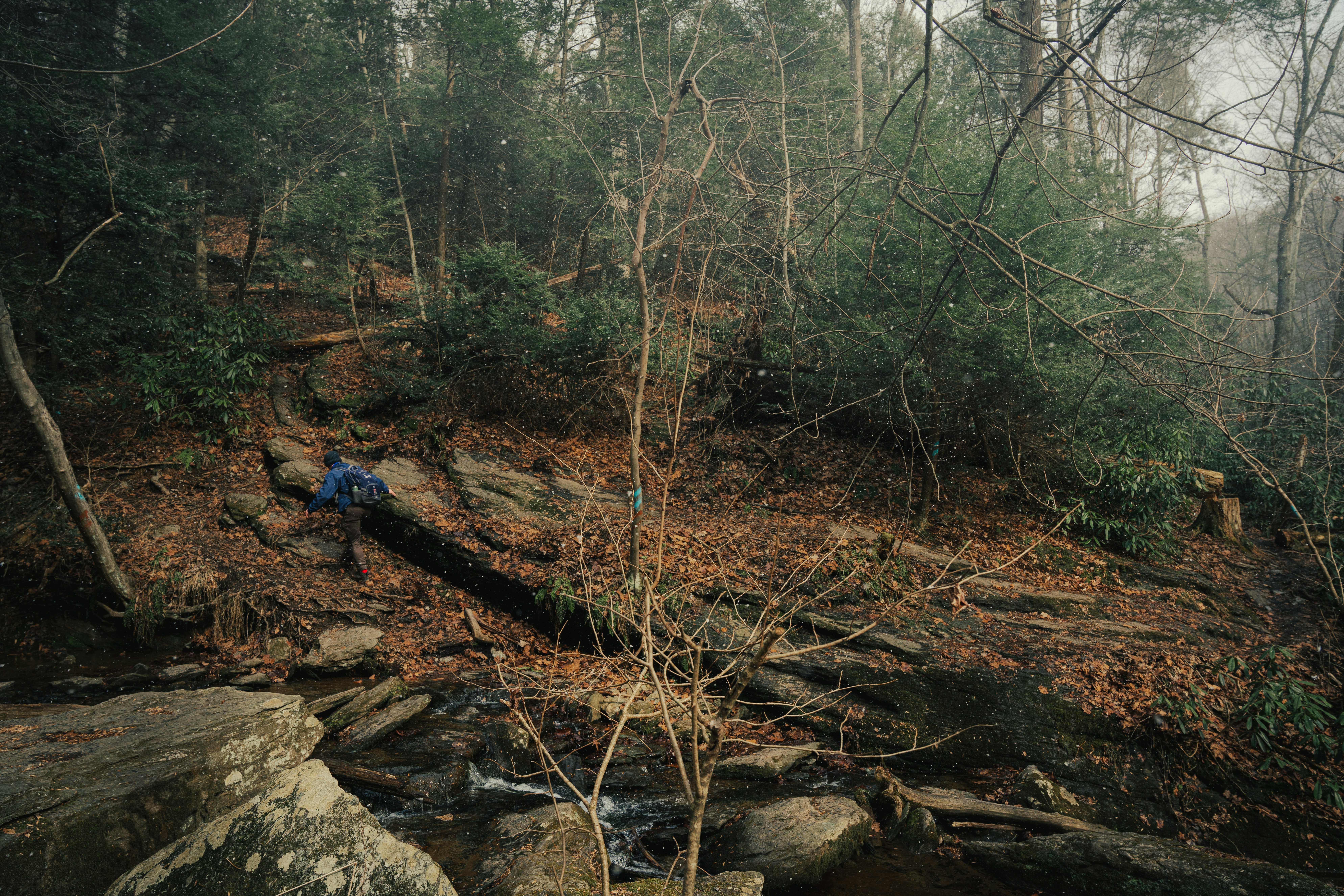 Photo by matthewmuth