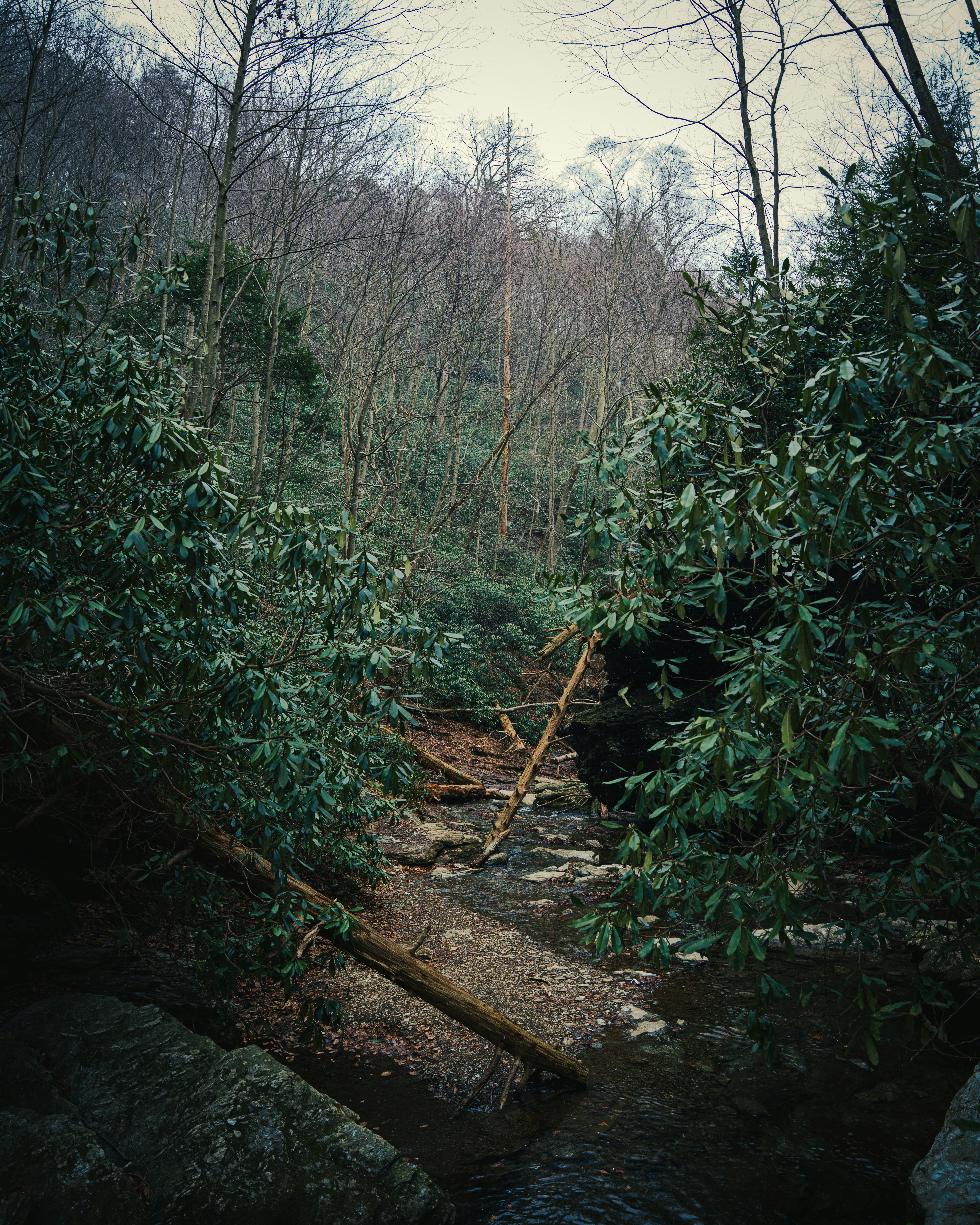 Photo by matthewmuth