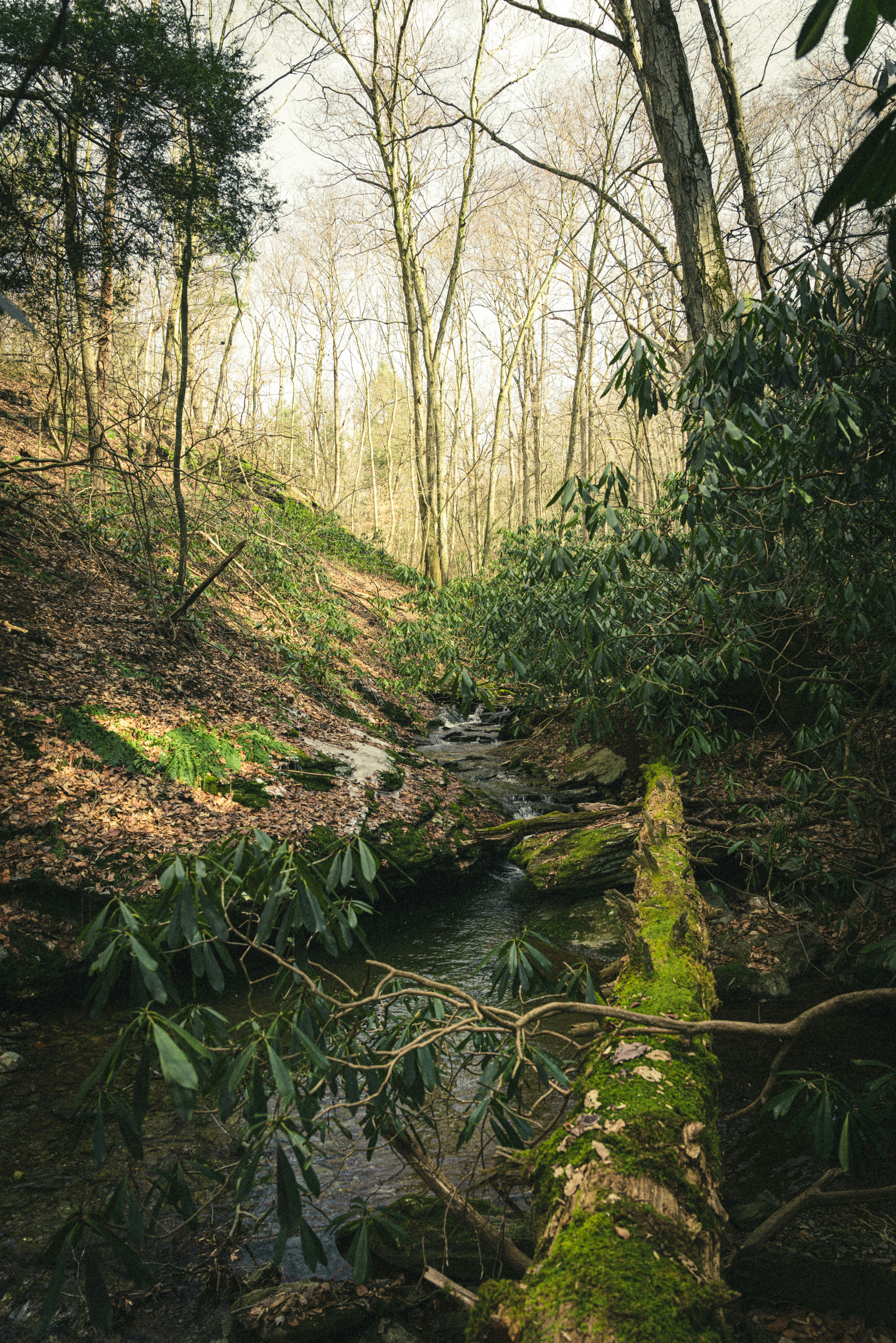 Photo by matthewmuth