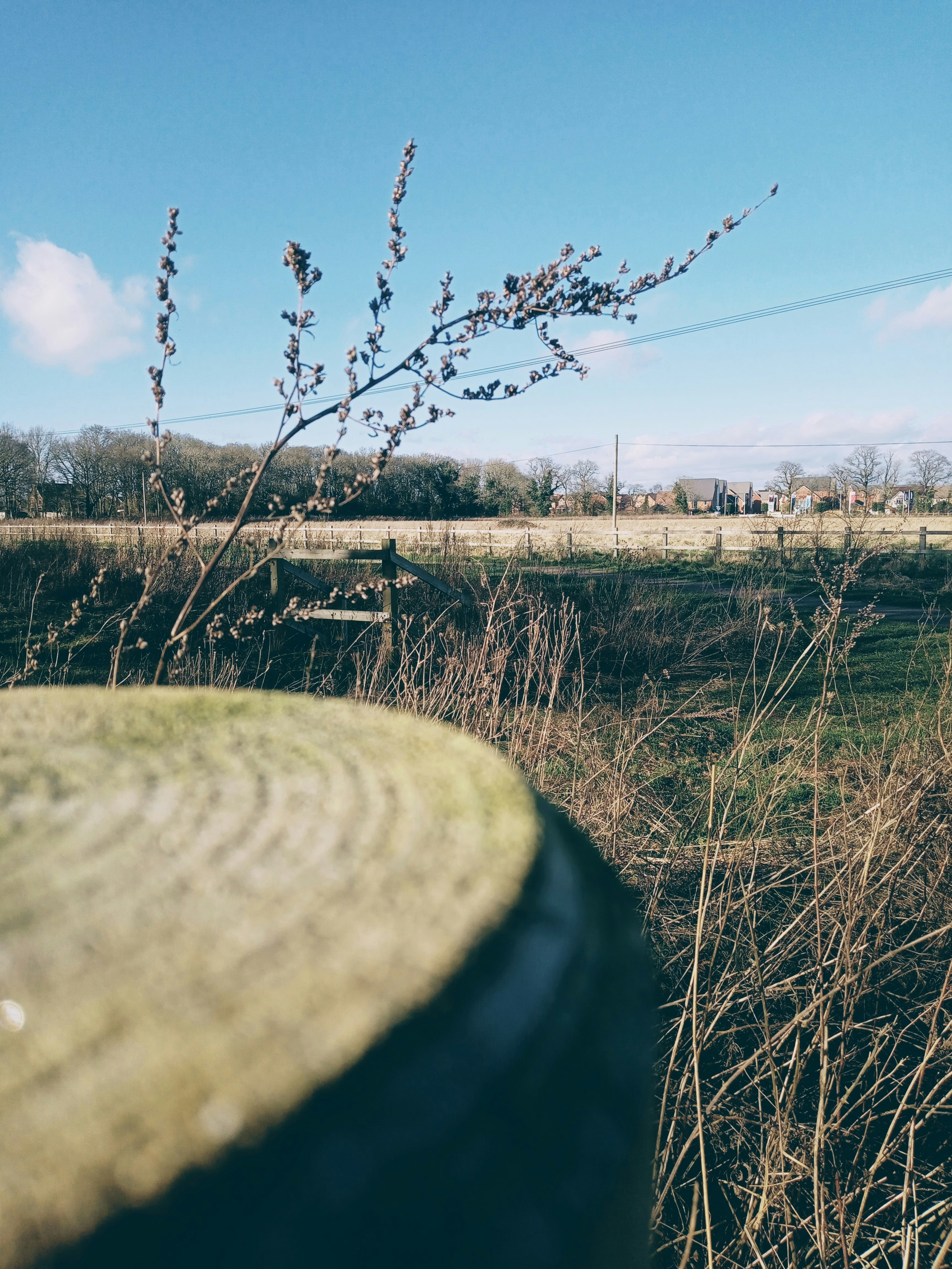 Photo by billy_brodzinski