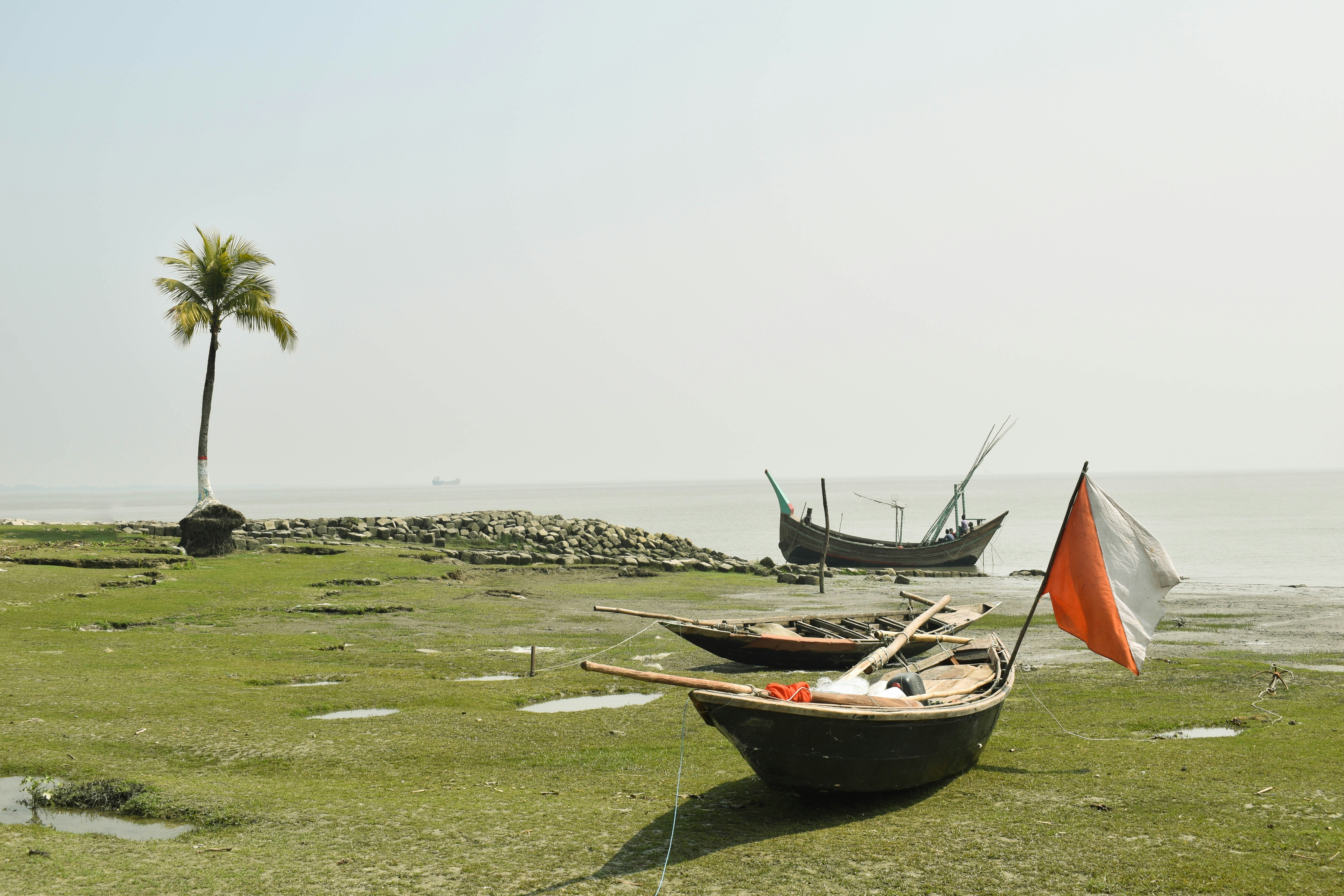 a couple of boats sitting on top of a lush green field
