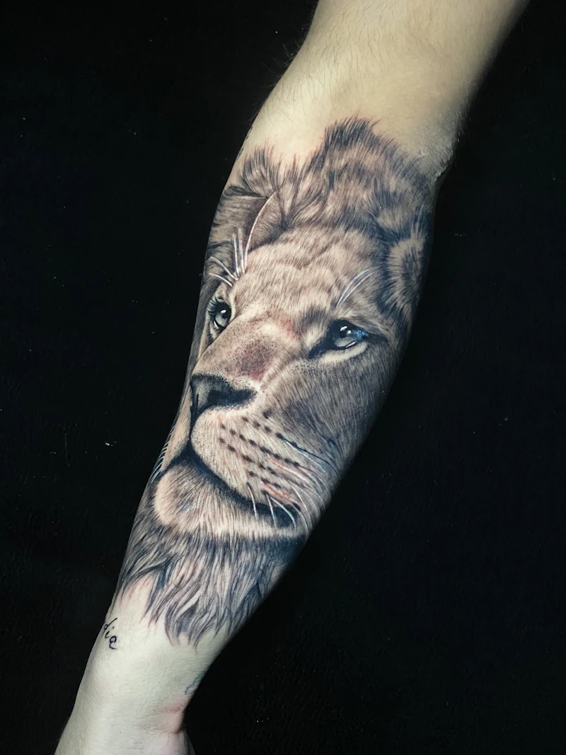 Black and grey realism lion tattoo