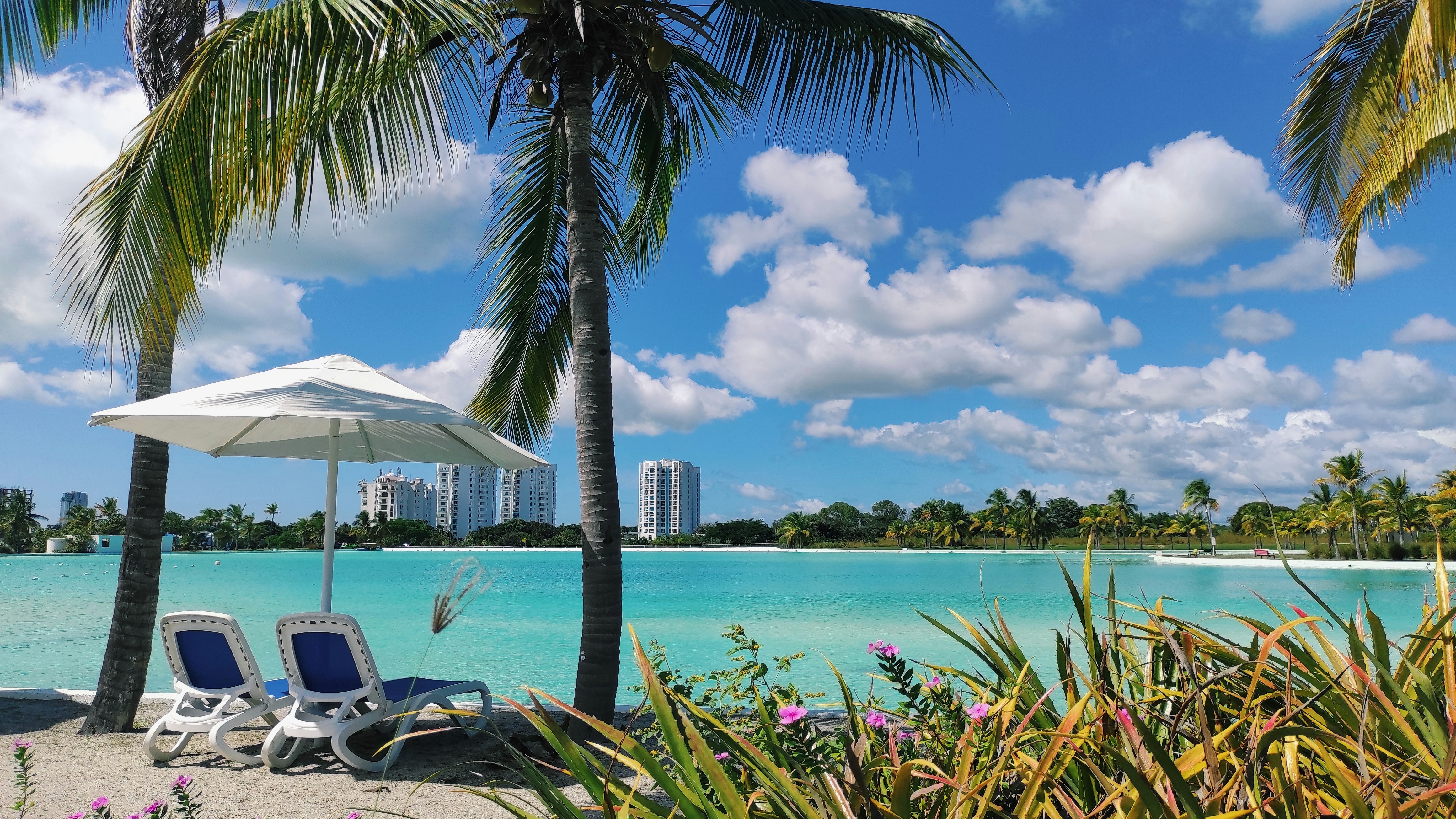 tropical resort wallpaper, wallpaper, Bisnis Eric Trump di Indonesia: Peluang dan Tantangan 4