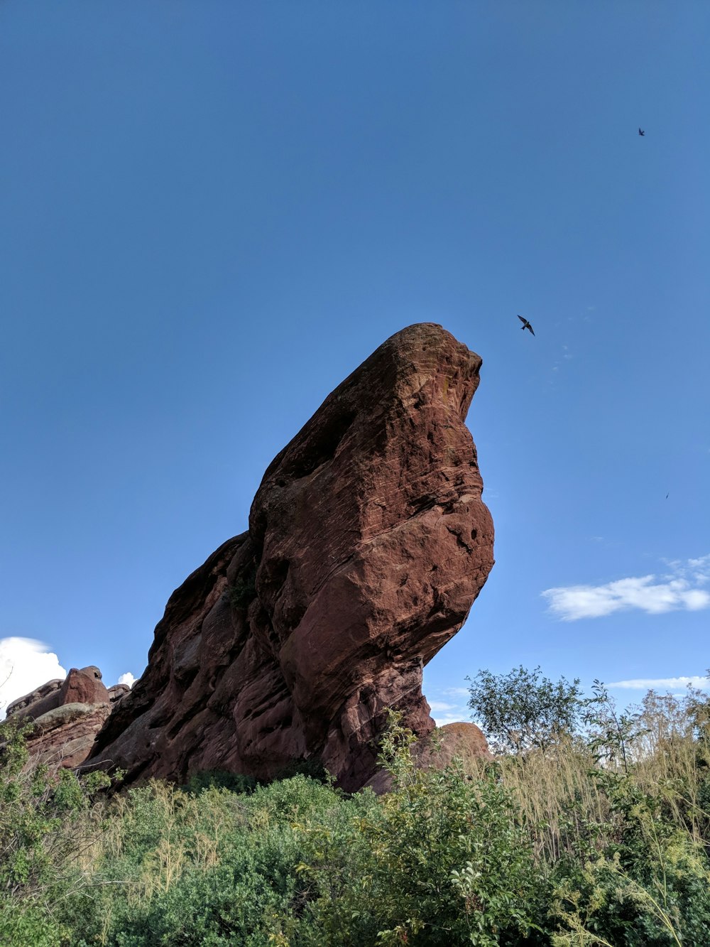 a bird flying over a large rock formation