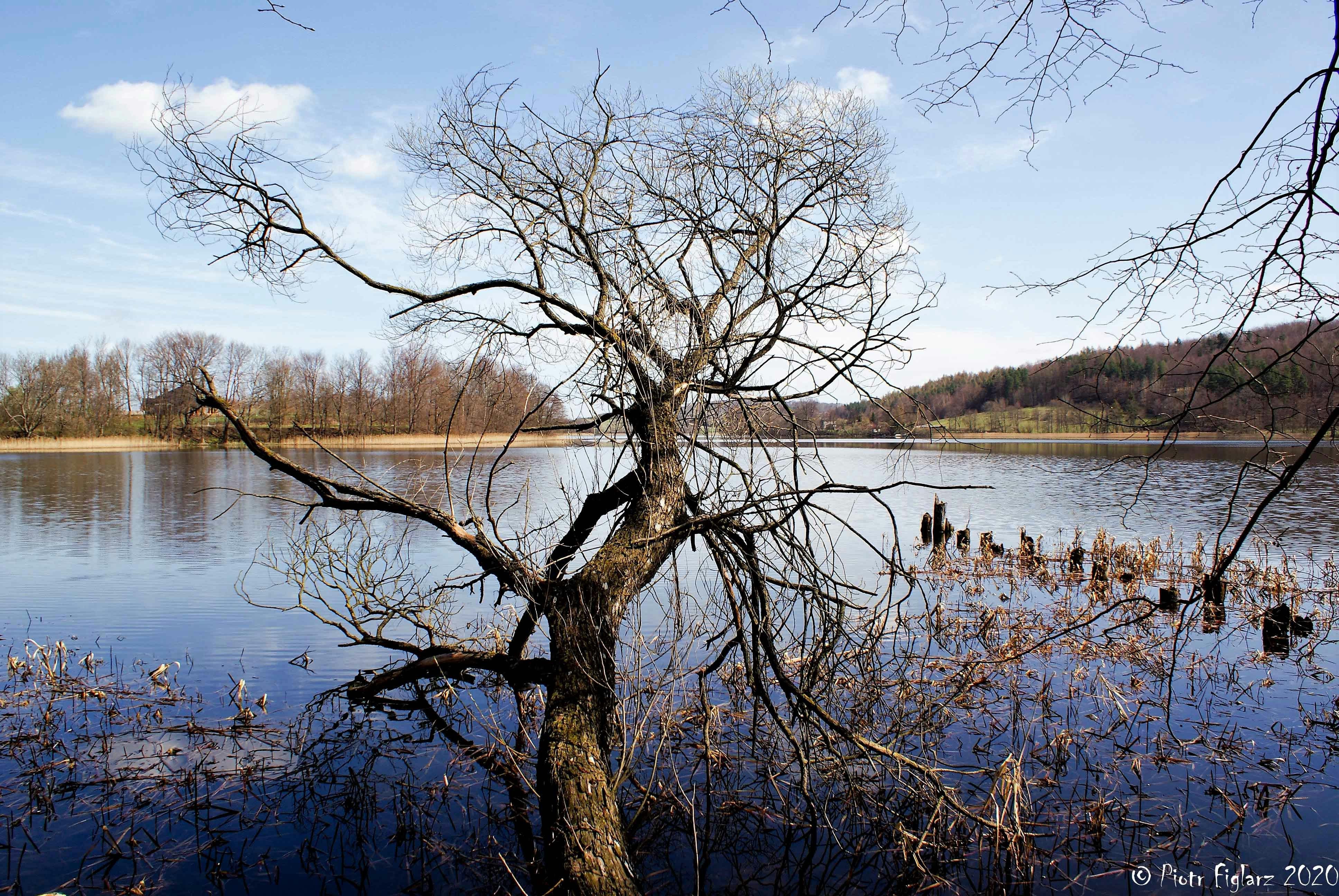 Photo by piotrfotodigital