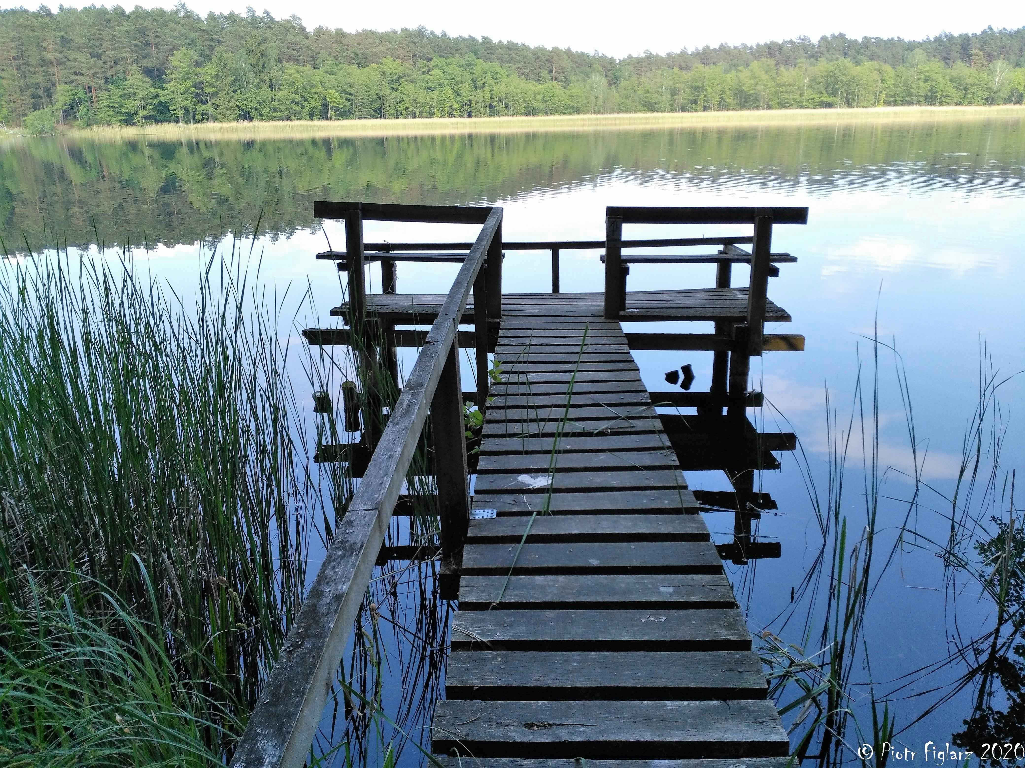 Photo by piotrfotodigital