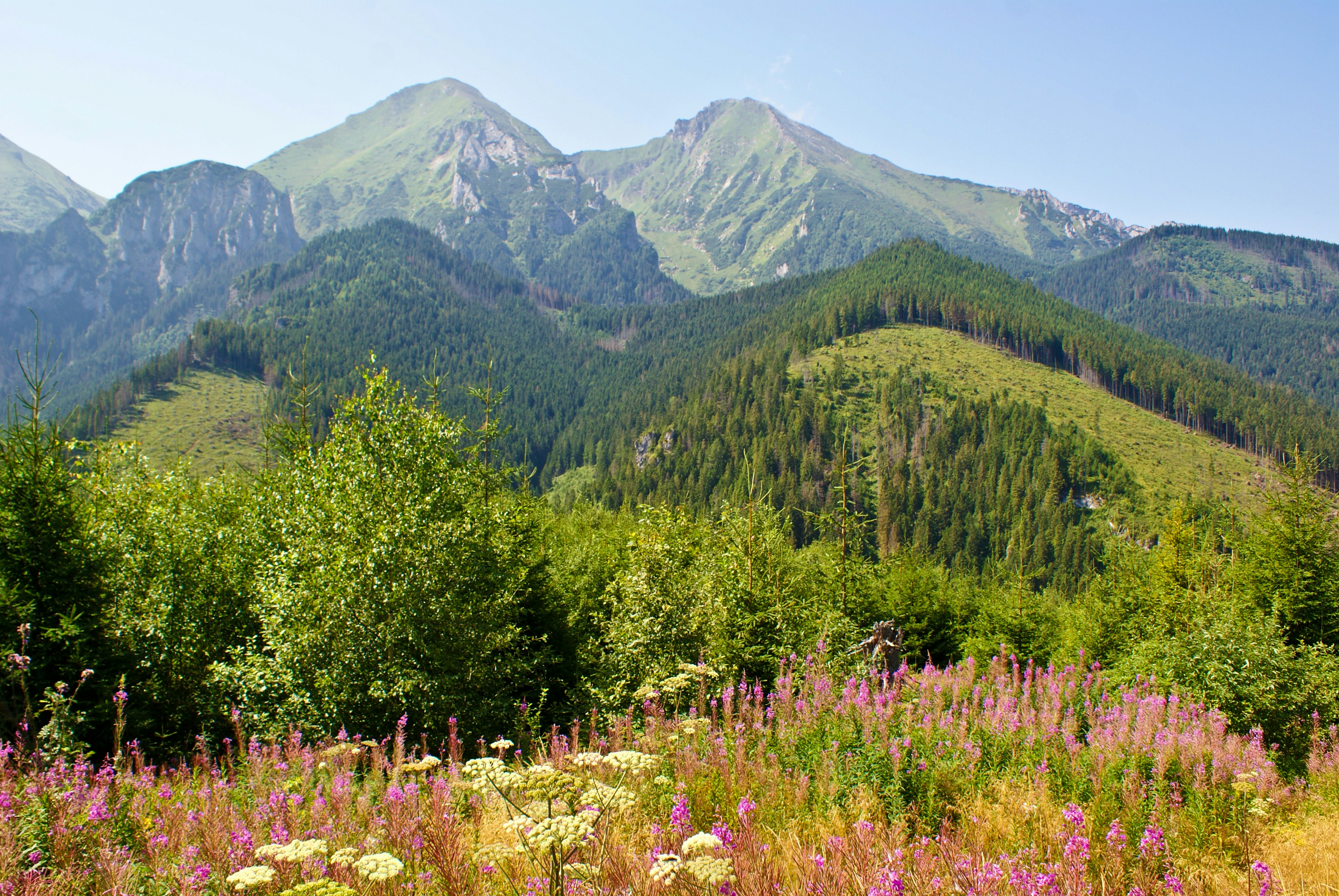 Photo by piotrfotodigital