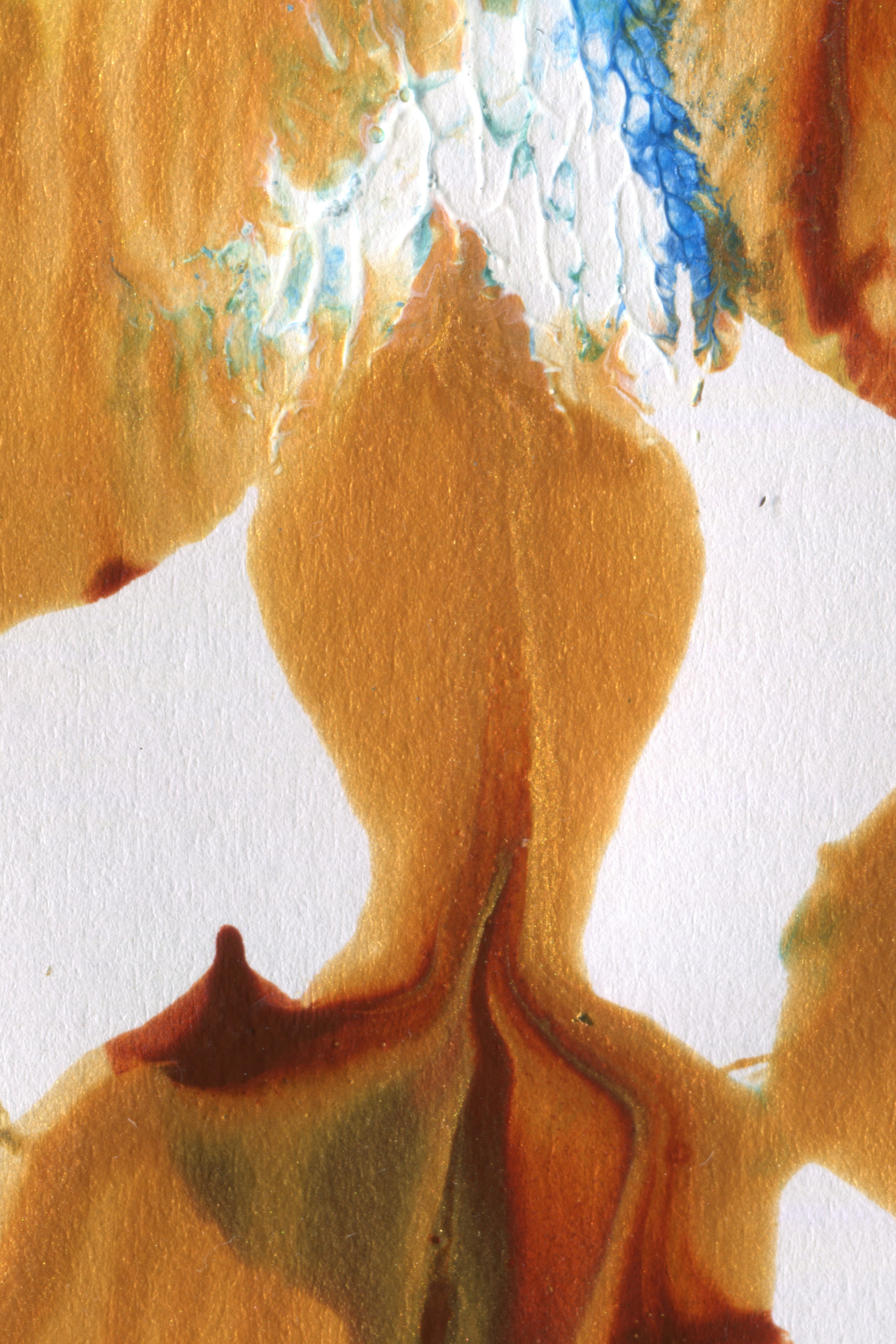 Photo by sensoryarthouse