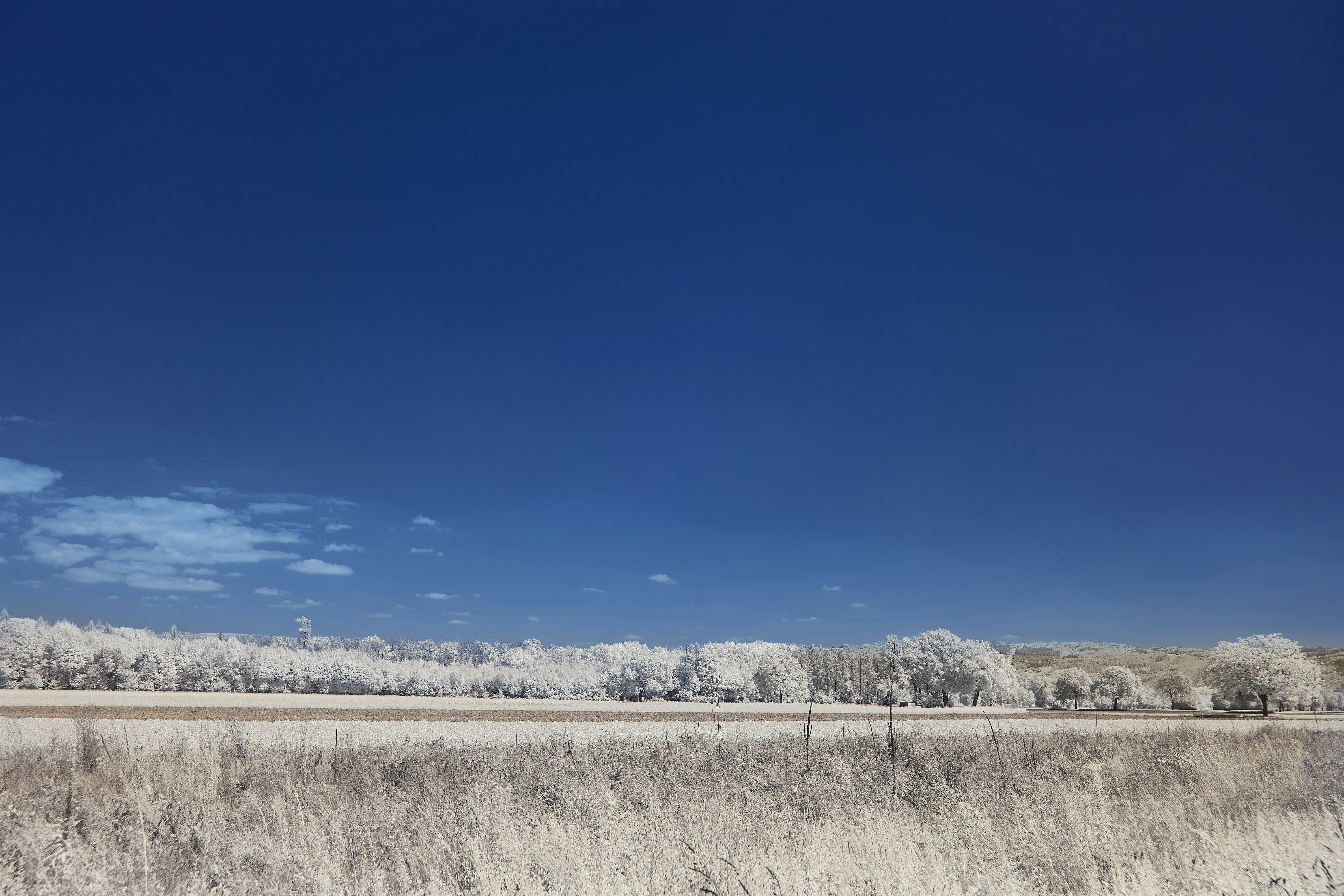 Photo by wolfgang_hasselmann