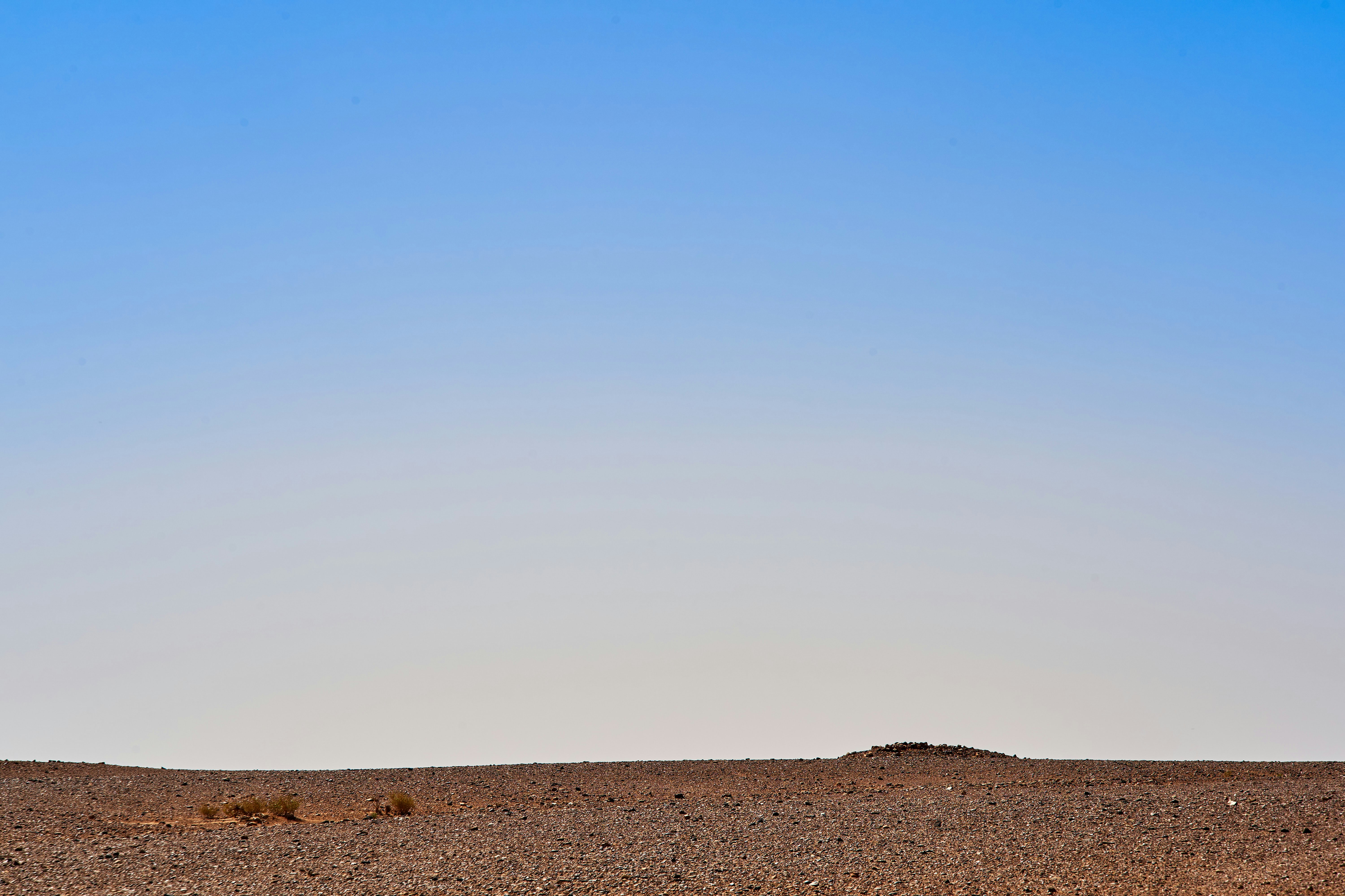 Photo by wolfgang_hasselmann