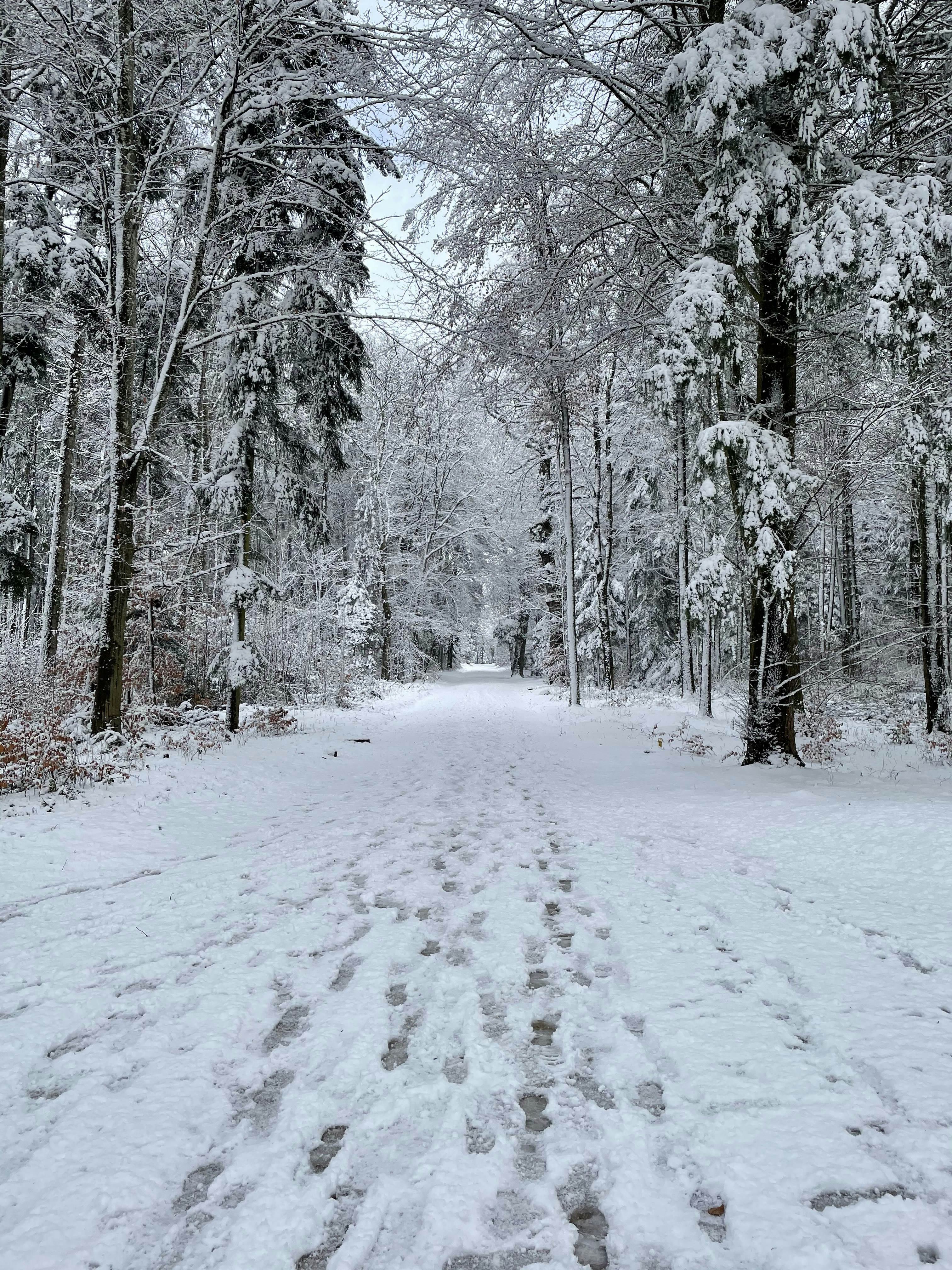 Photo by annelaurejacot