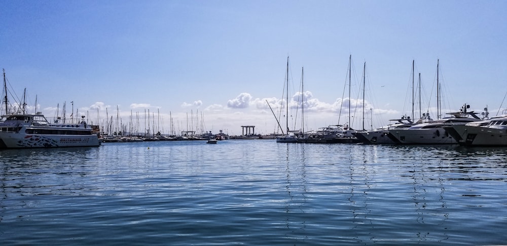 a bunch of boats that are in the water