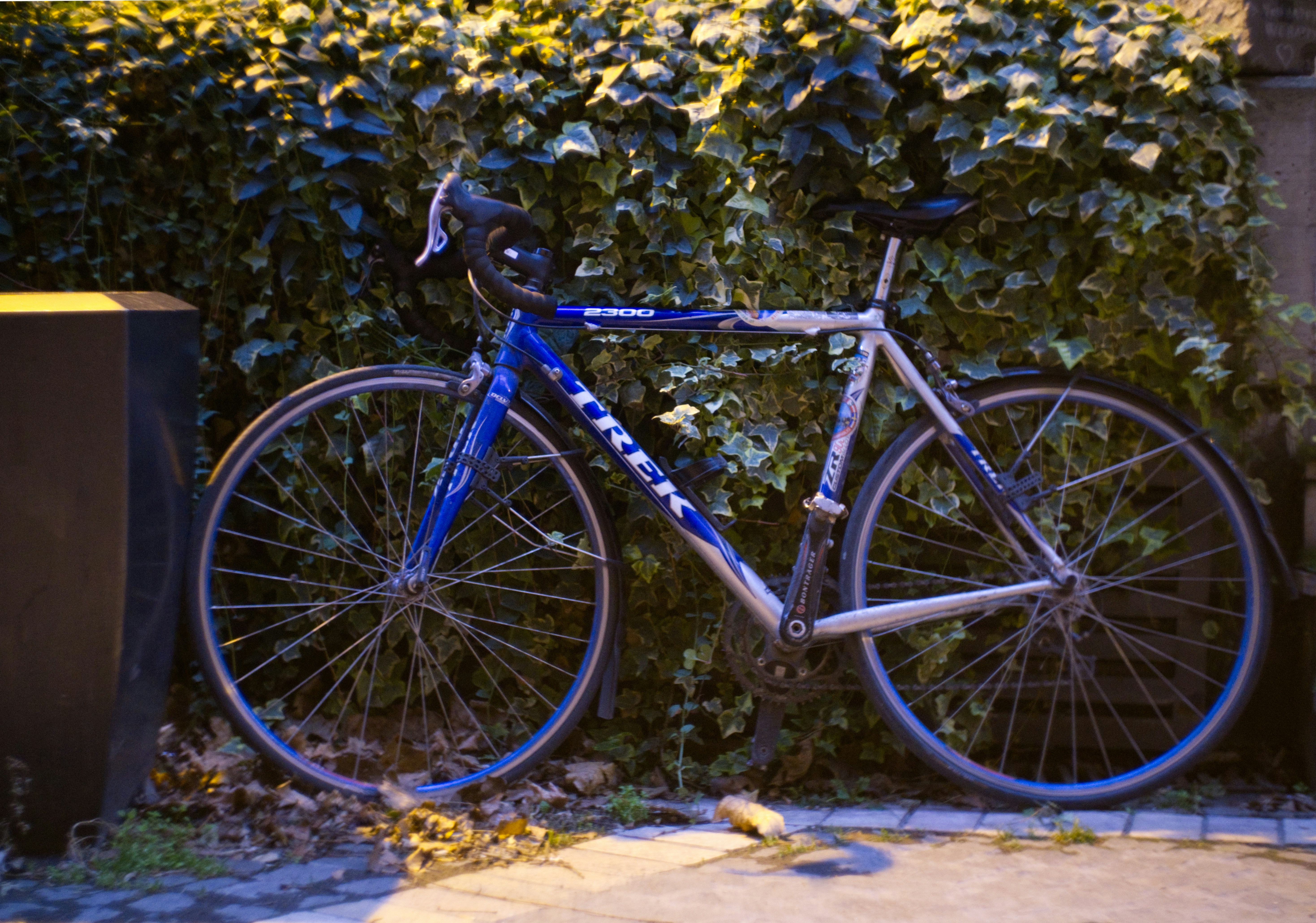 a blue bicycle parked next to a green bush