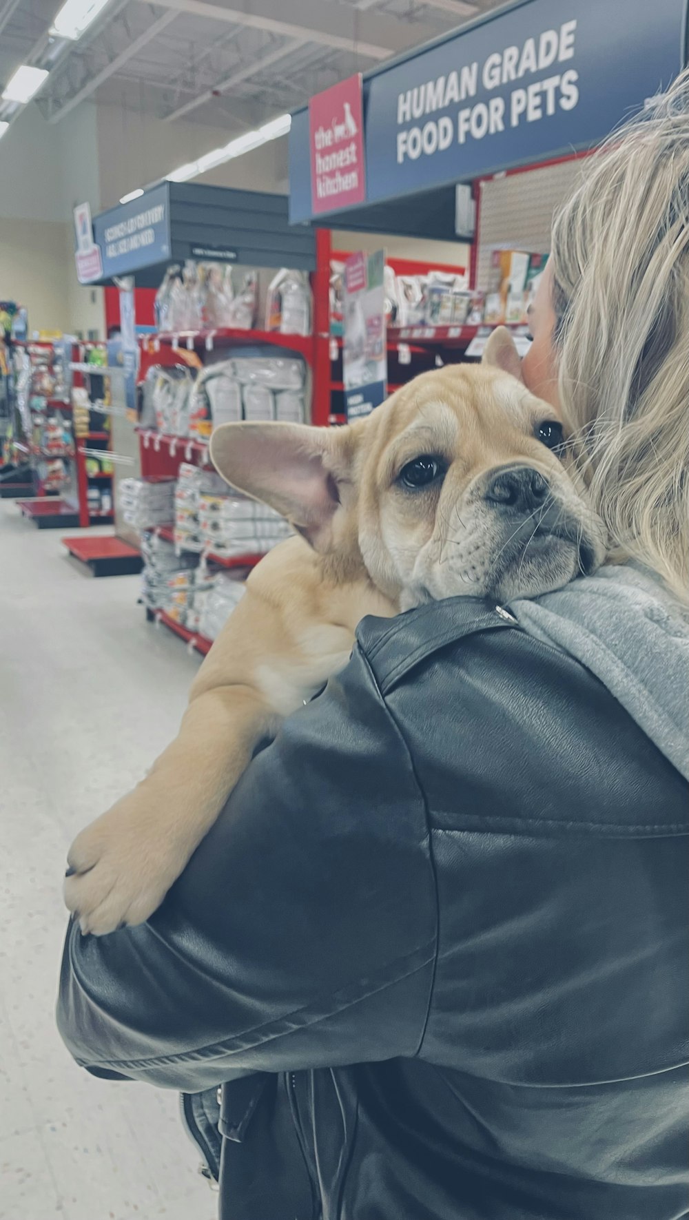 店で犬を腕に抱く女性