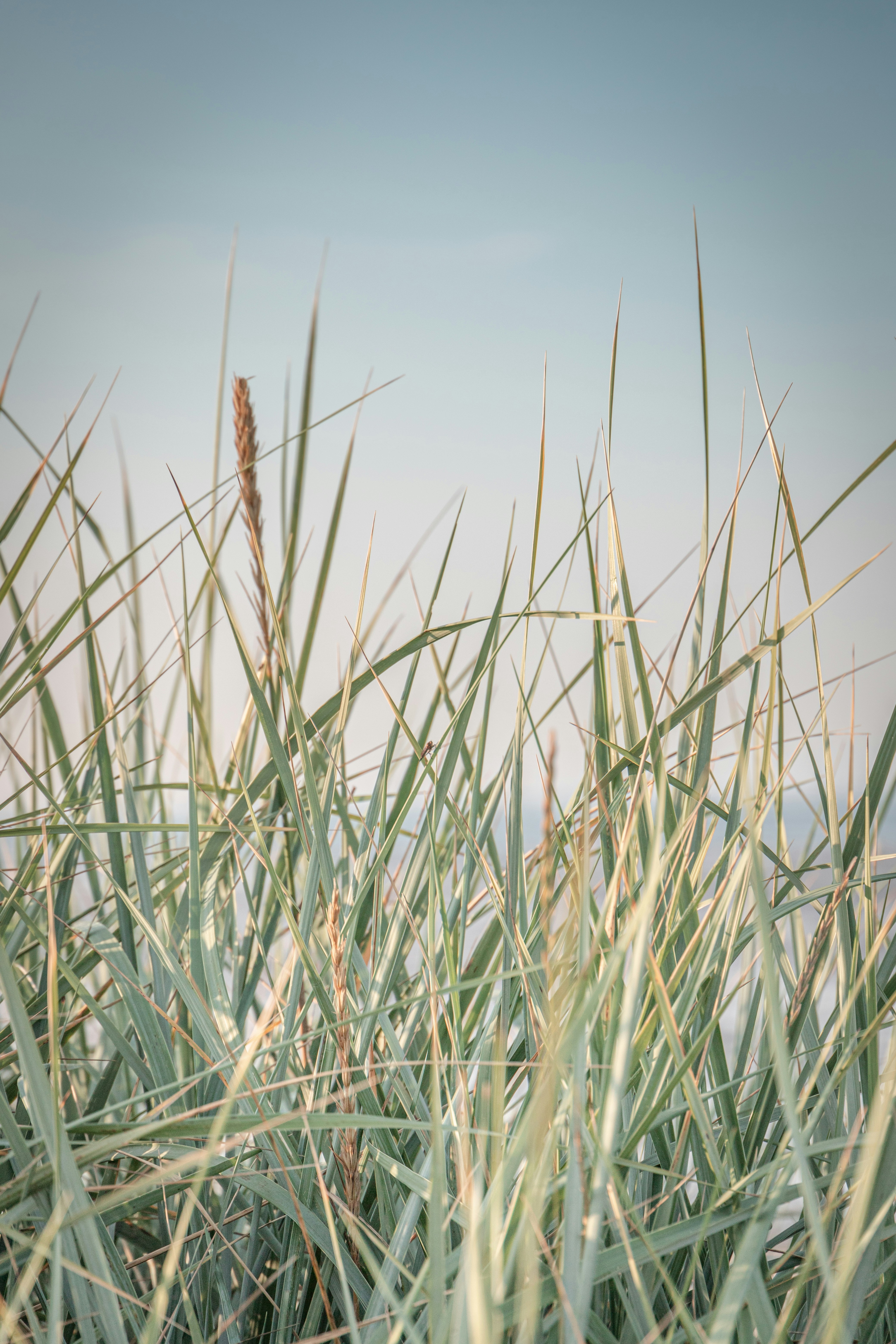 Photo by katharina_bill