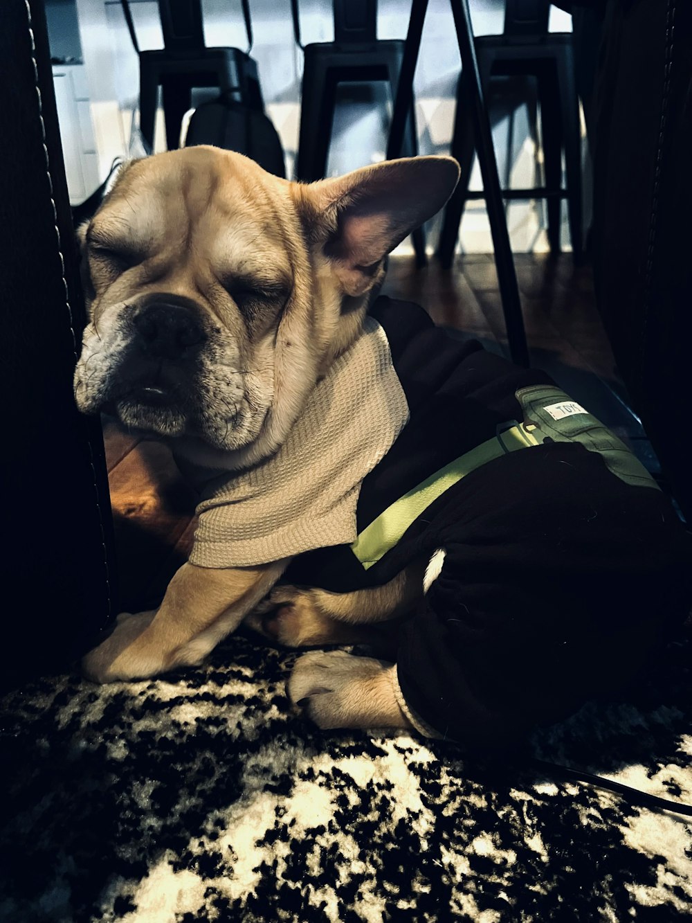 a dog laying on the floor wearing a sweater