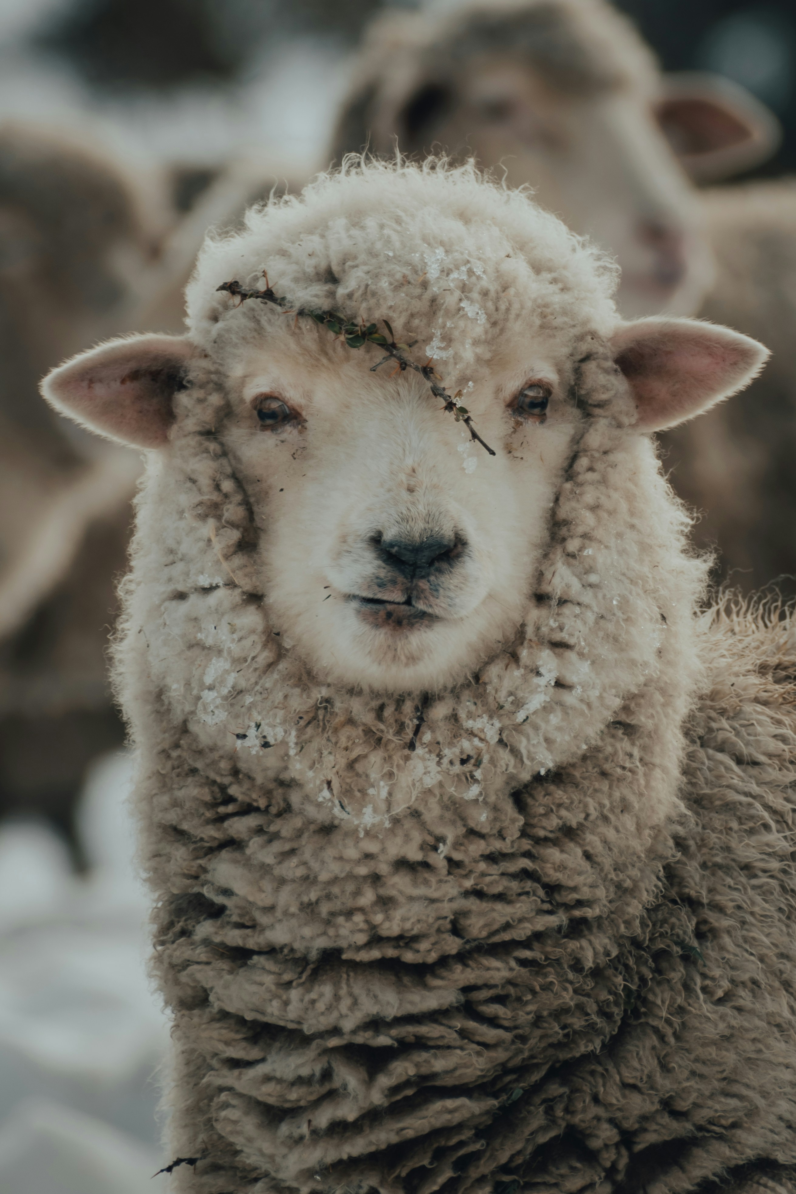 Photo by gasparzaldo