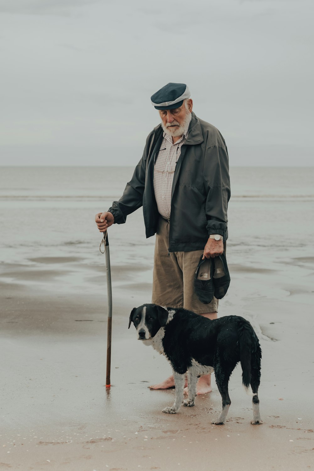 a man standing next to a black and white dog on a beach