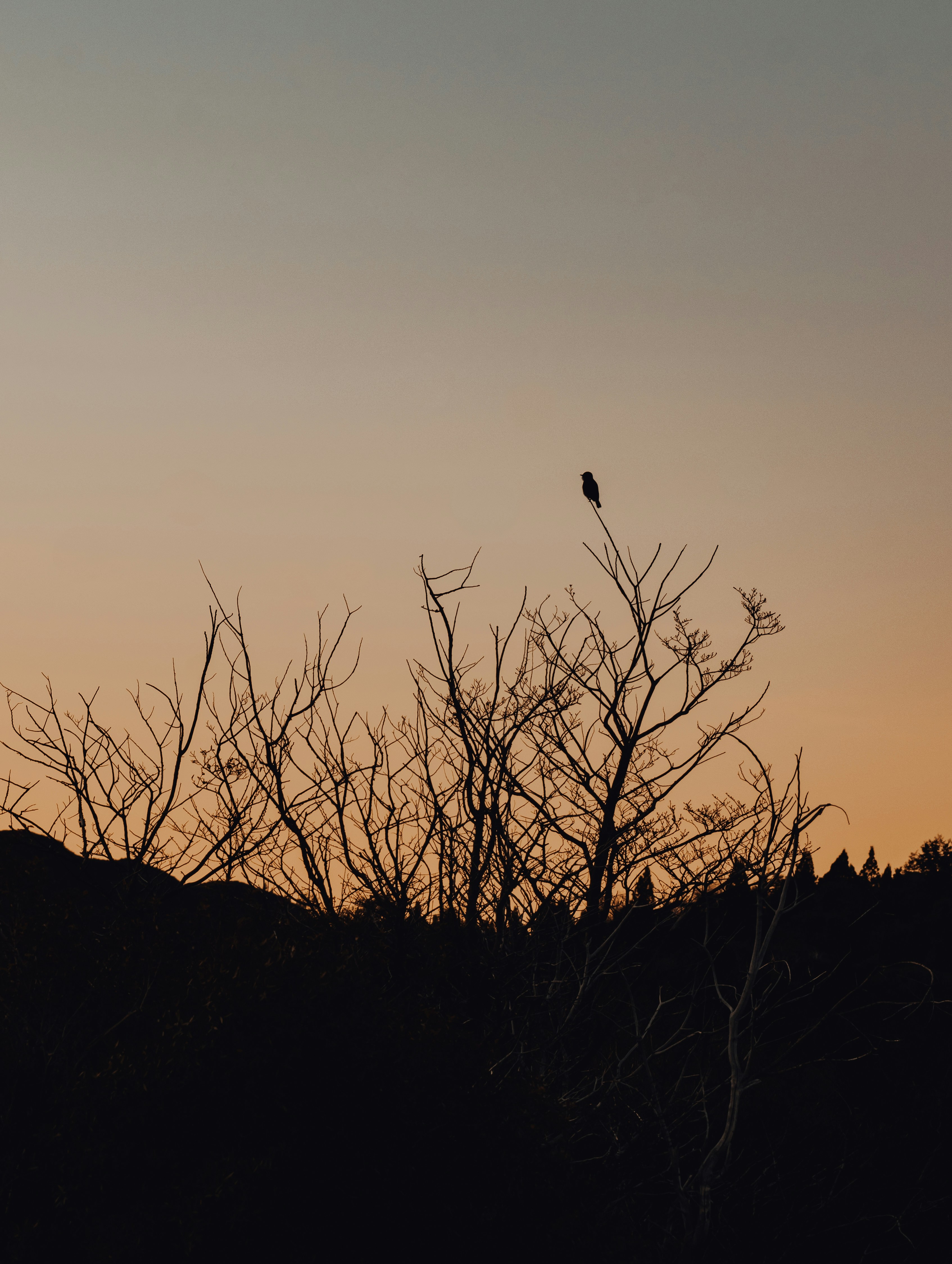 Photo by gasparzaldo