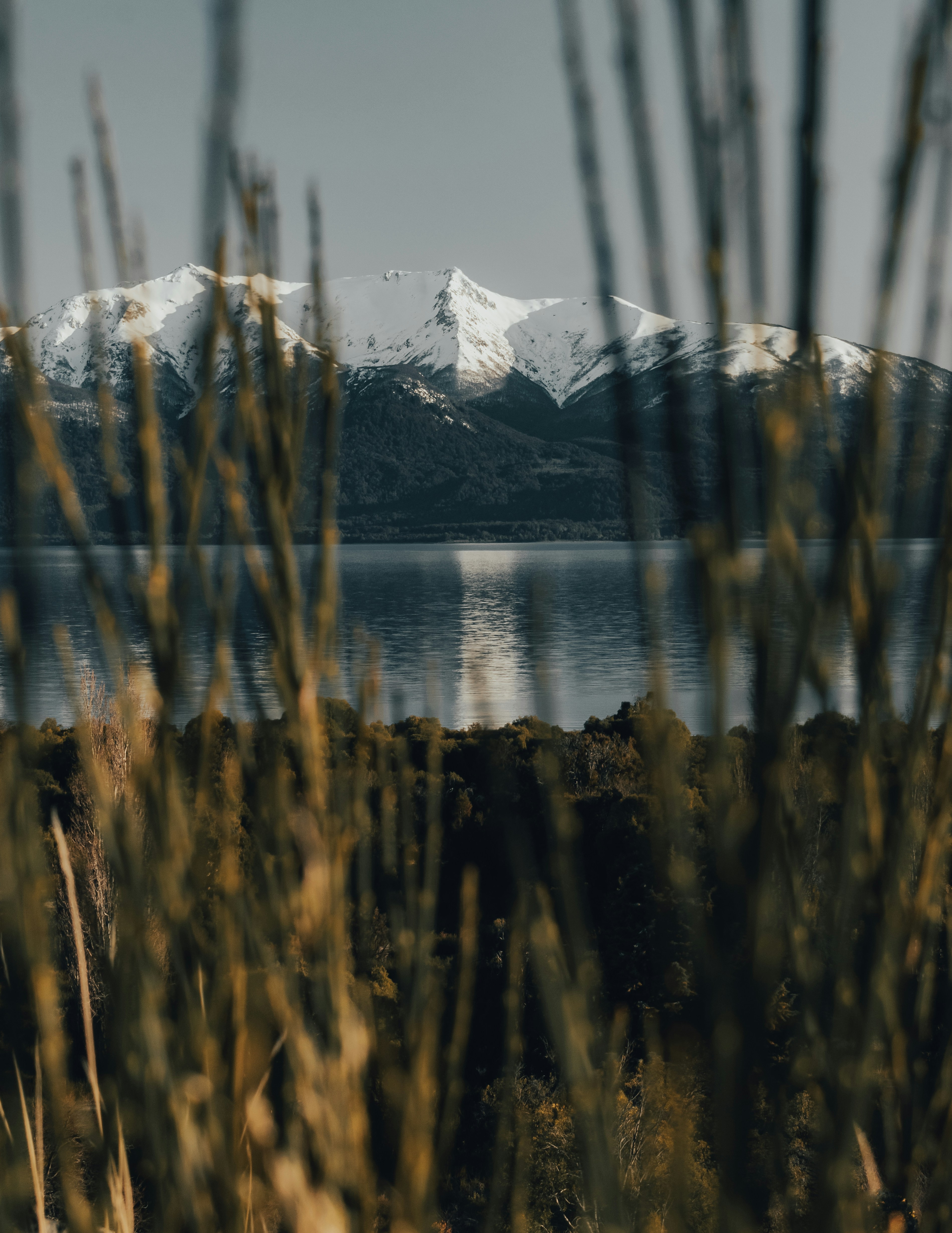 Photo by gasparzaldo