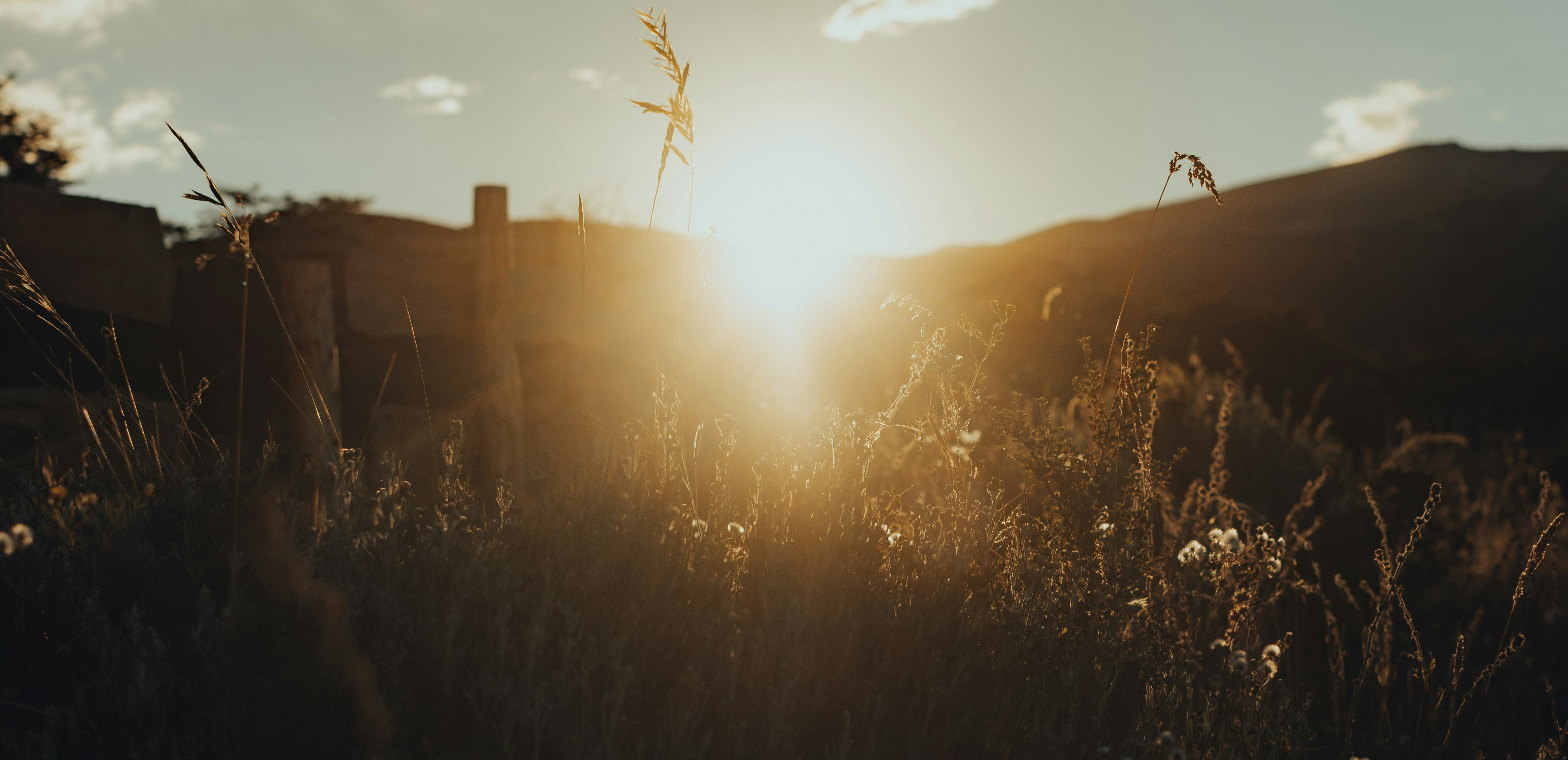 Photo by gasparzaldo