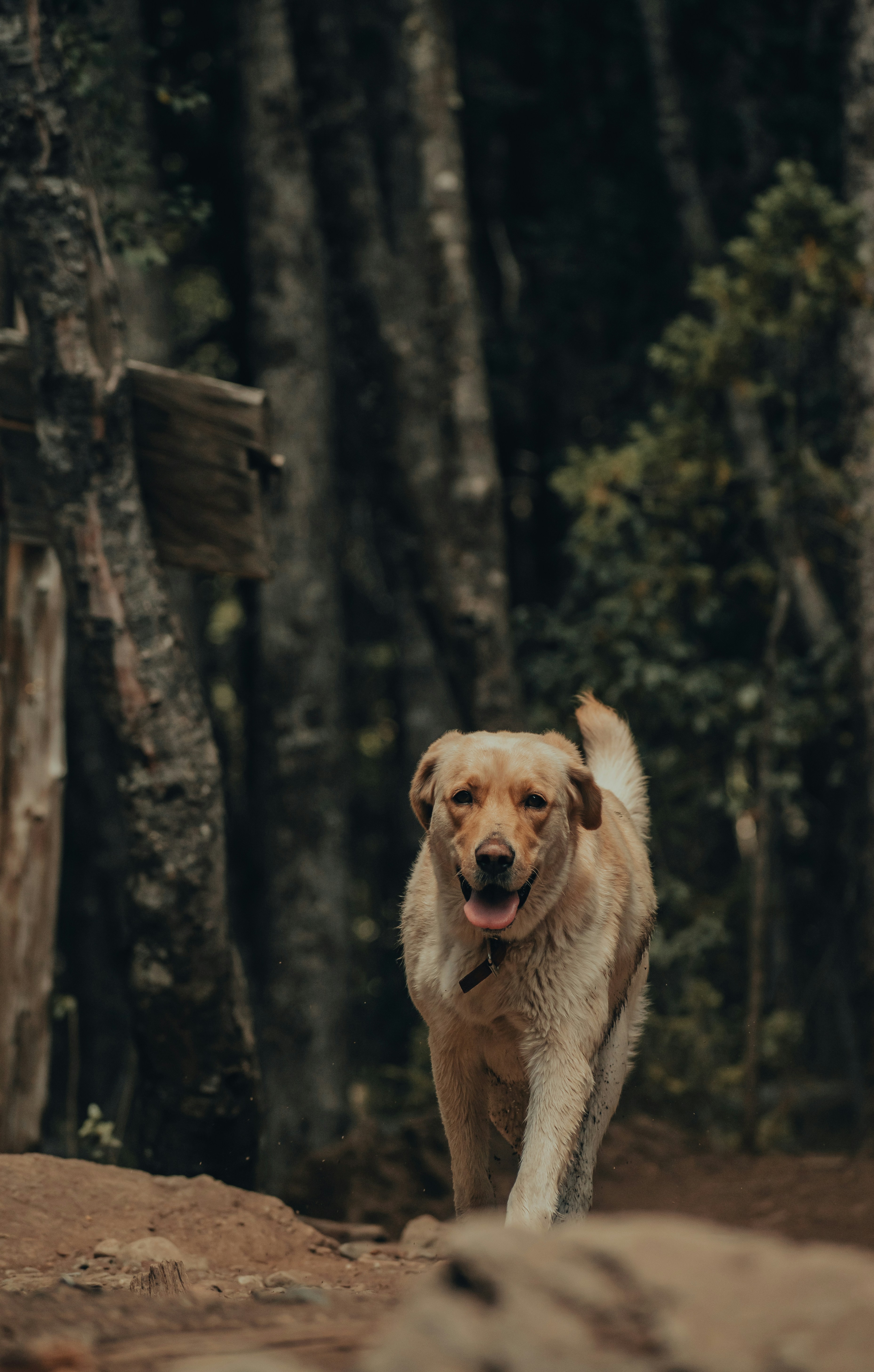 Photo by gasparzaldo