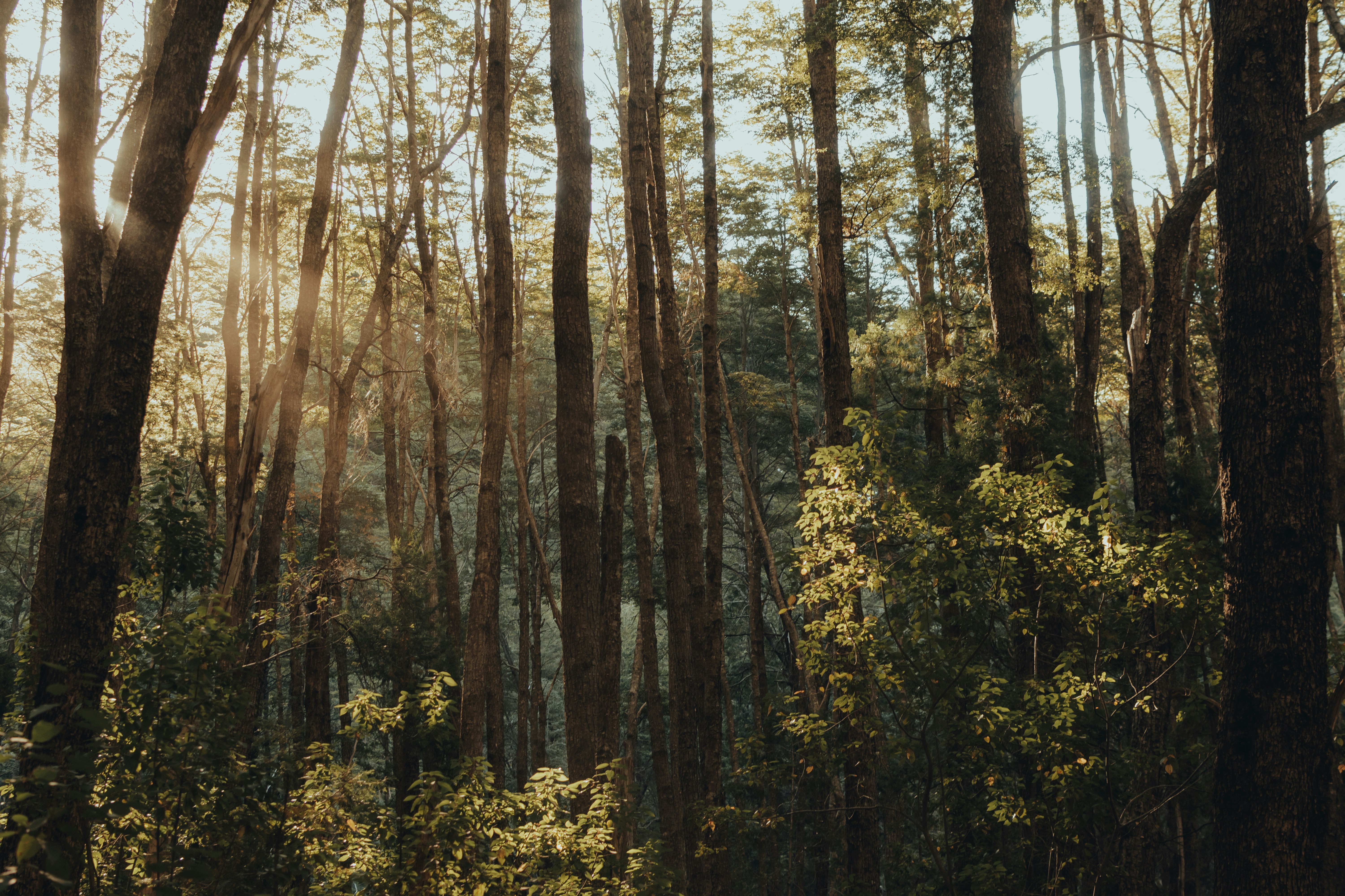 Photo by gasparzaldo