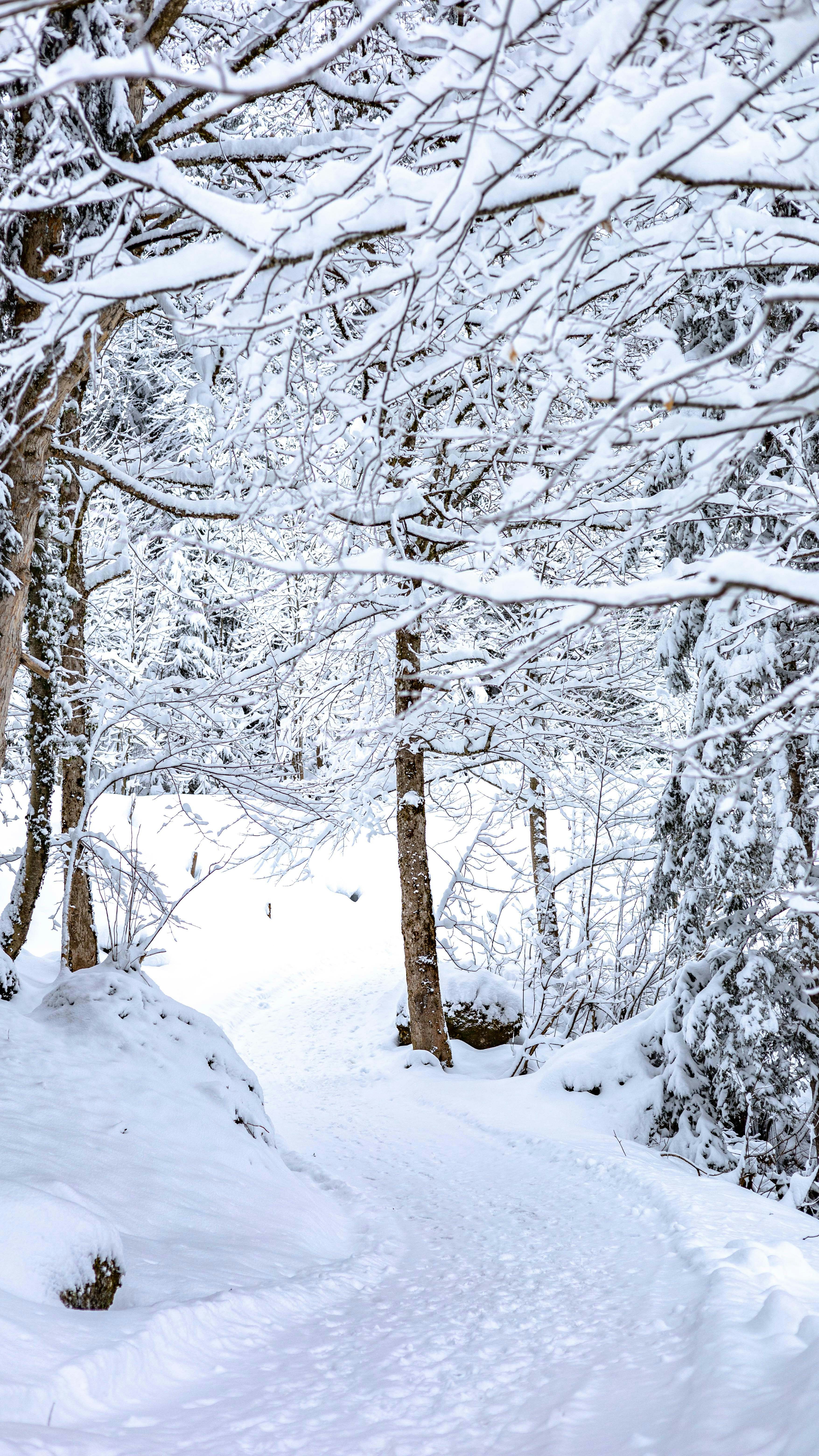 Photo by doeringphotograpy