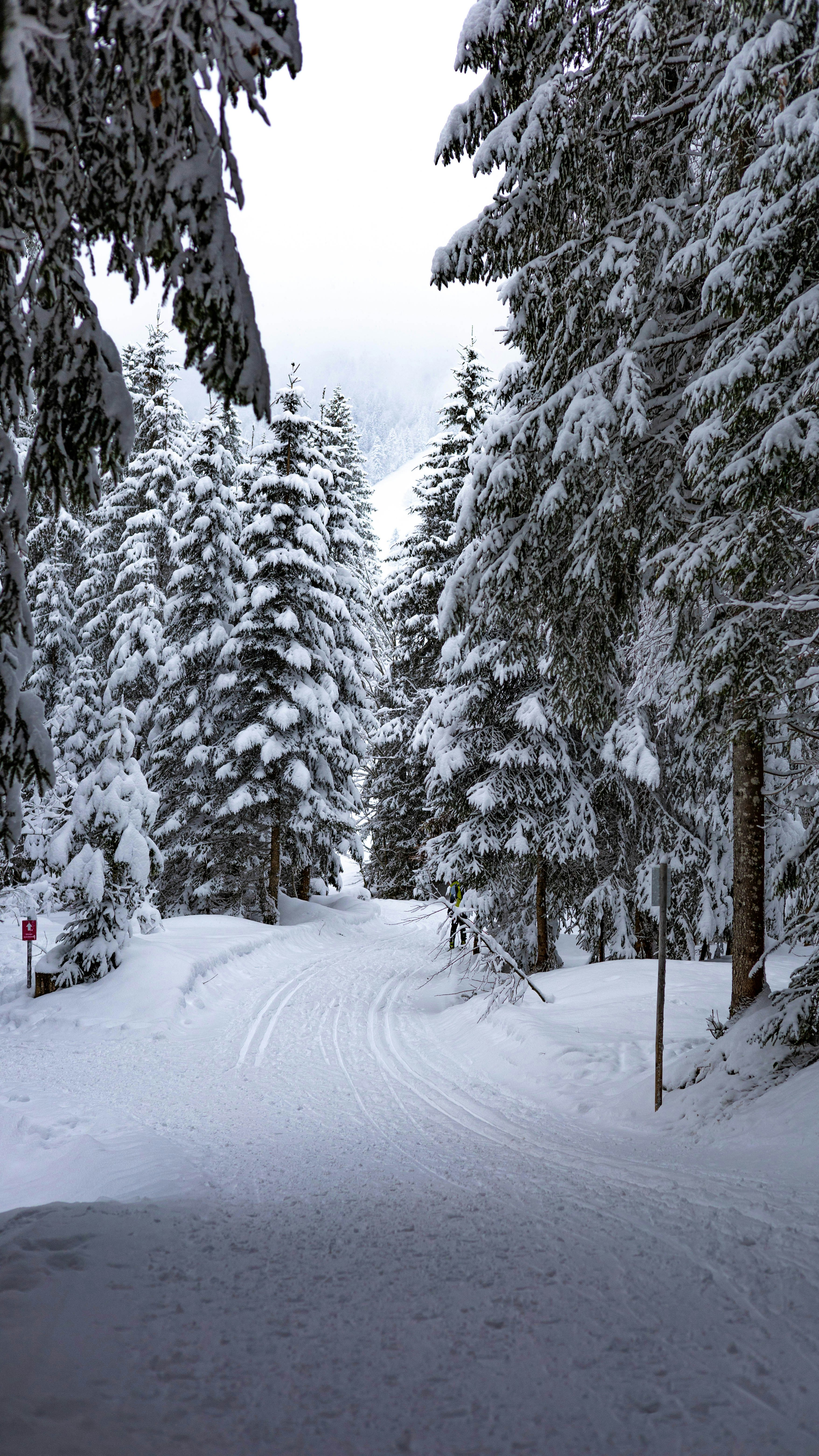 Photo by doeringphotograpy